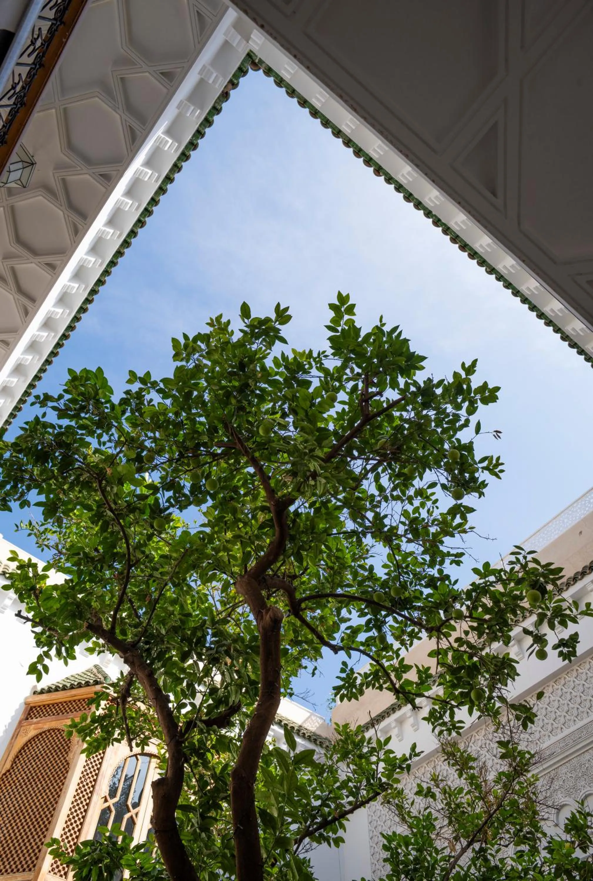 Day in Riad Botanica