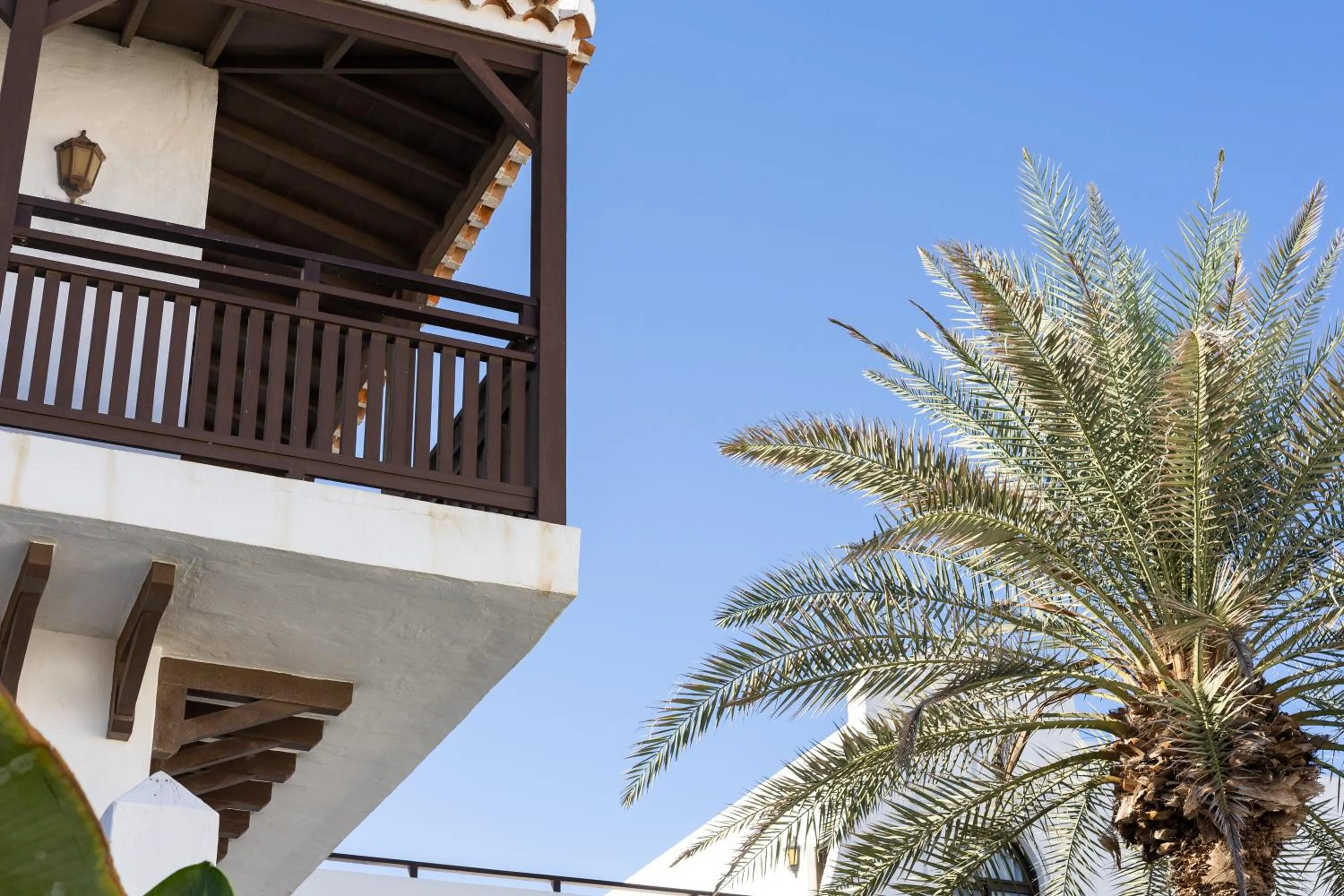 Area and facilities in Apartamentos Hesperia Bristol Playa