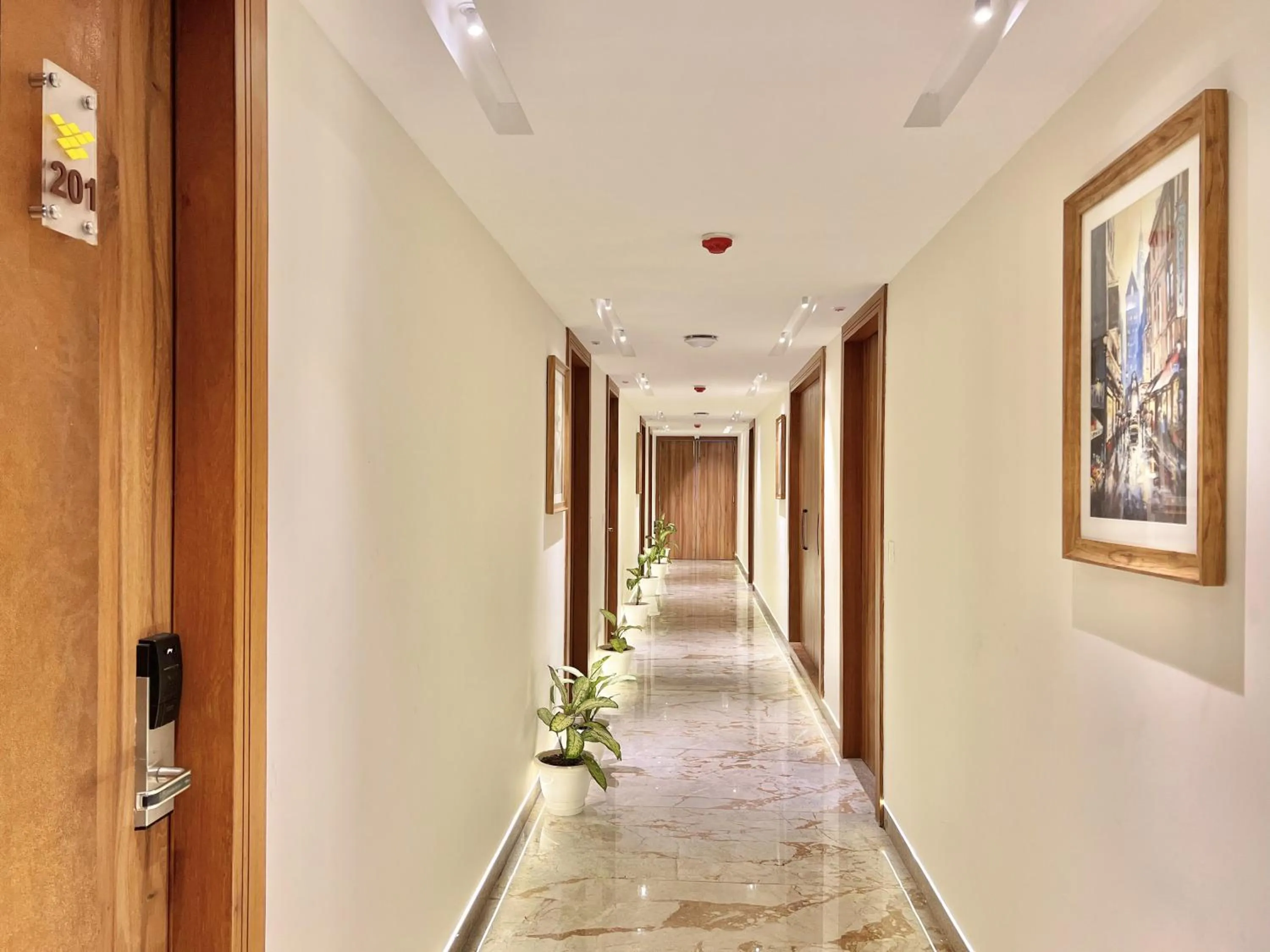 Other in SJ PARADISE