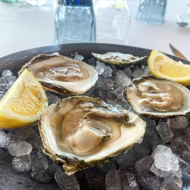 Food in Tancat de Codorniu