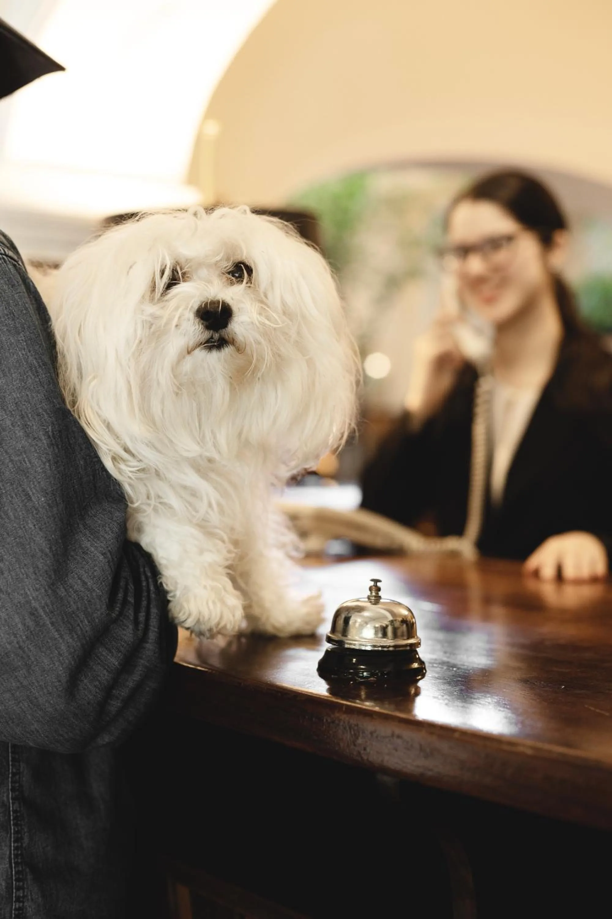 Pets in Gran Hotel del Paraguay