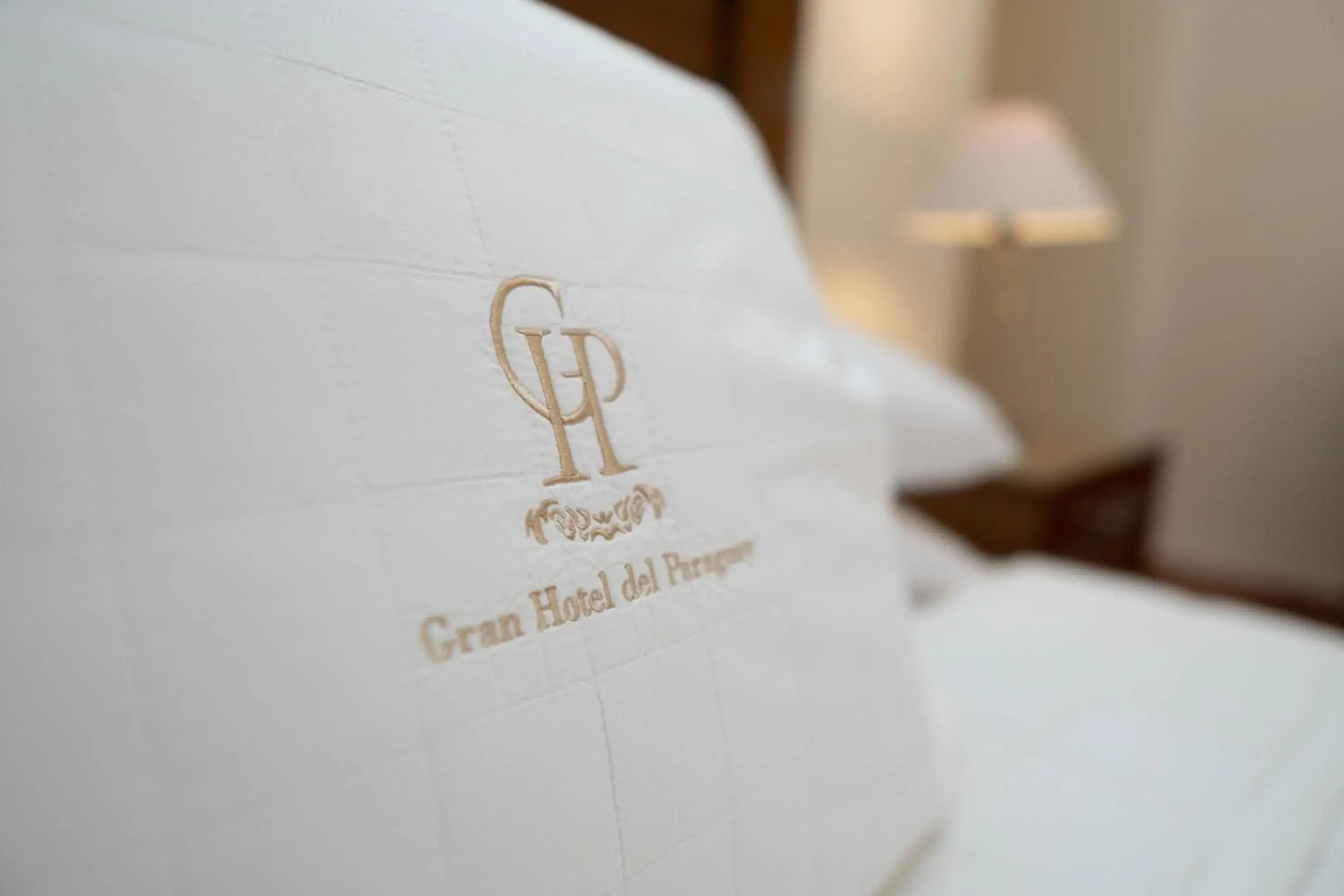 Superior Single Room in Gran Hotel del Paraguay Superior Single Room in Gran Hotel del Paraguay