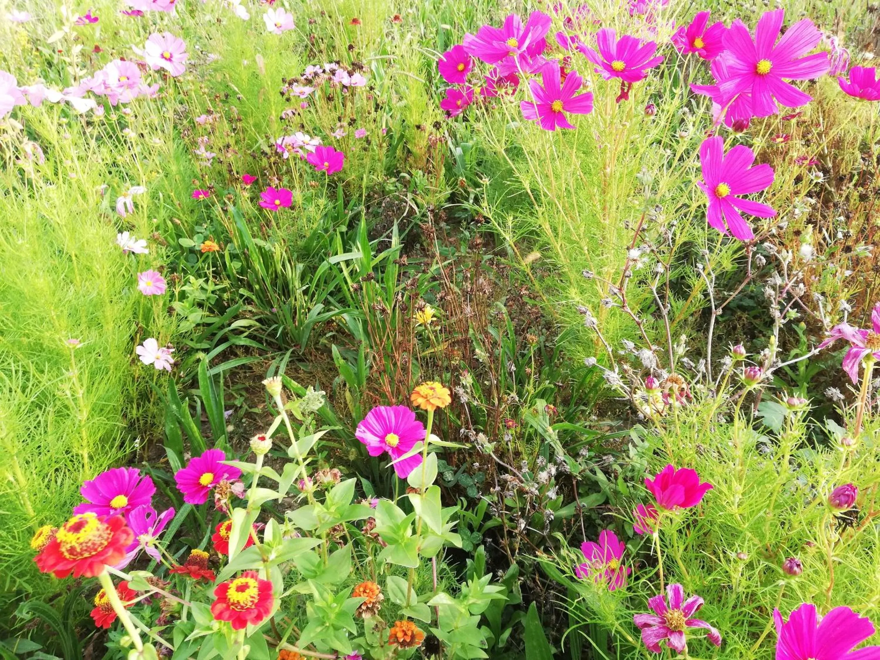Other in BASTIDE DES MARTELIERES