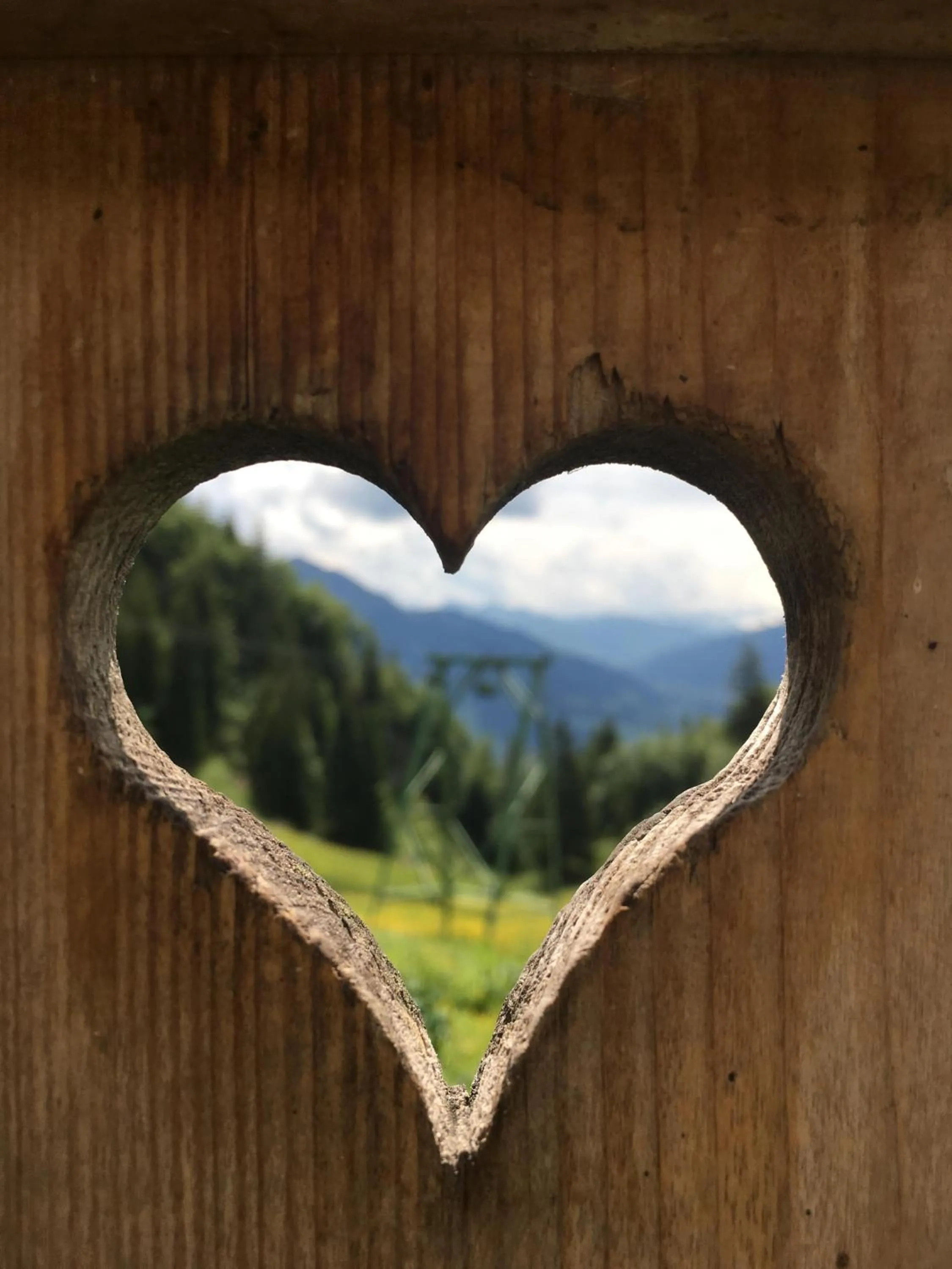 Mountain view in Ferienhaus Willms am Gaisberg