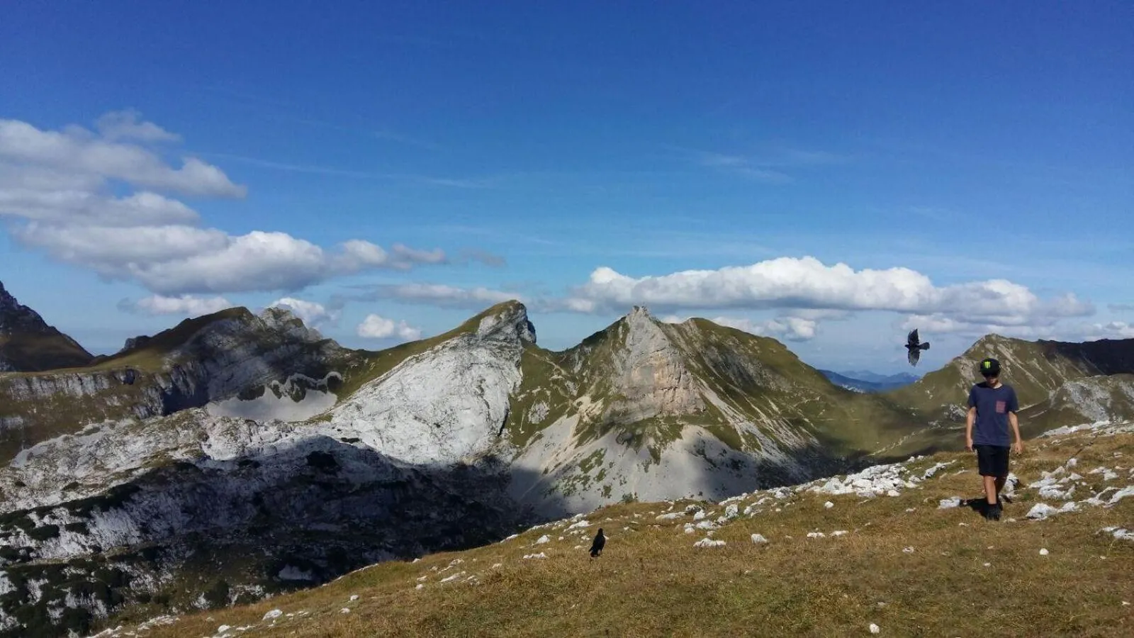 Mountain view in Ferienhaus Willms am Gaisberg