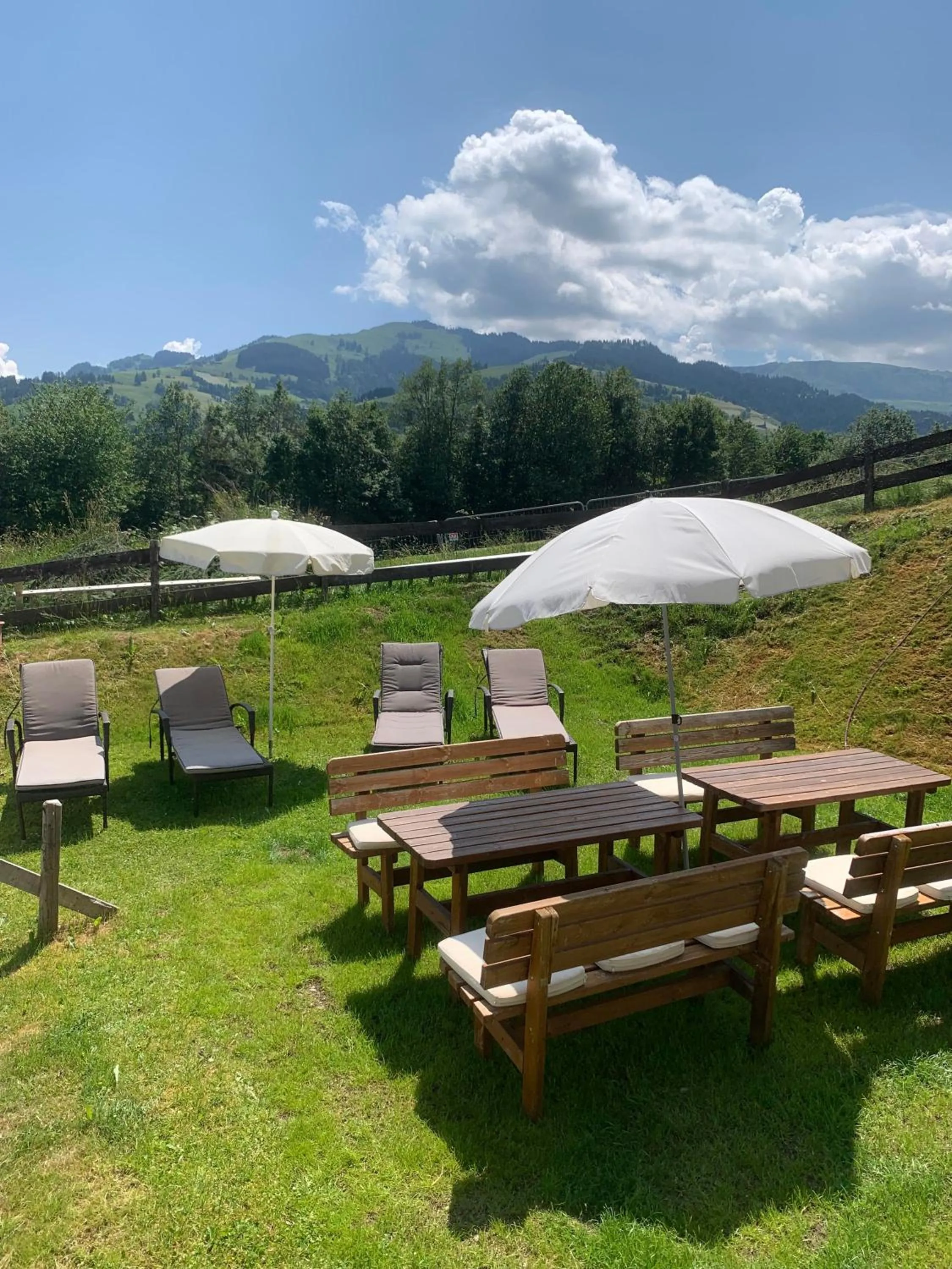 Garden view in Ferienhaus Willms am Gaisberg