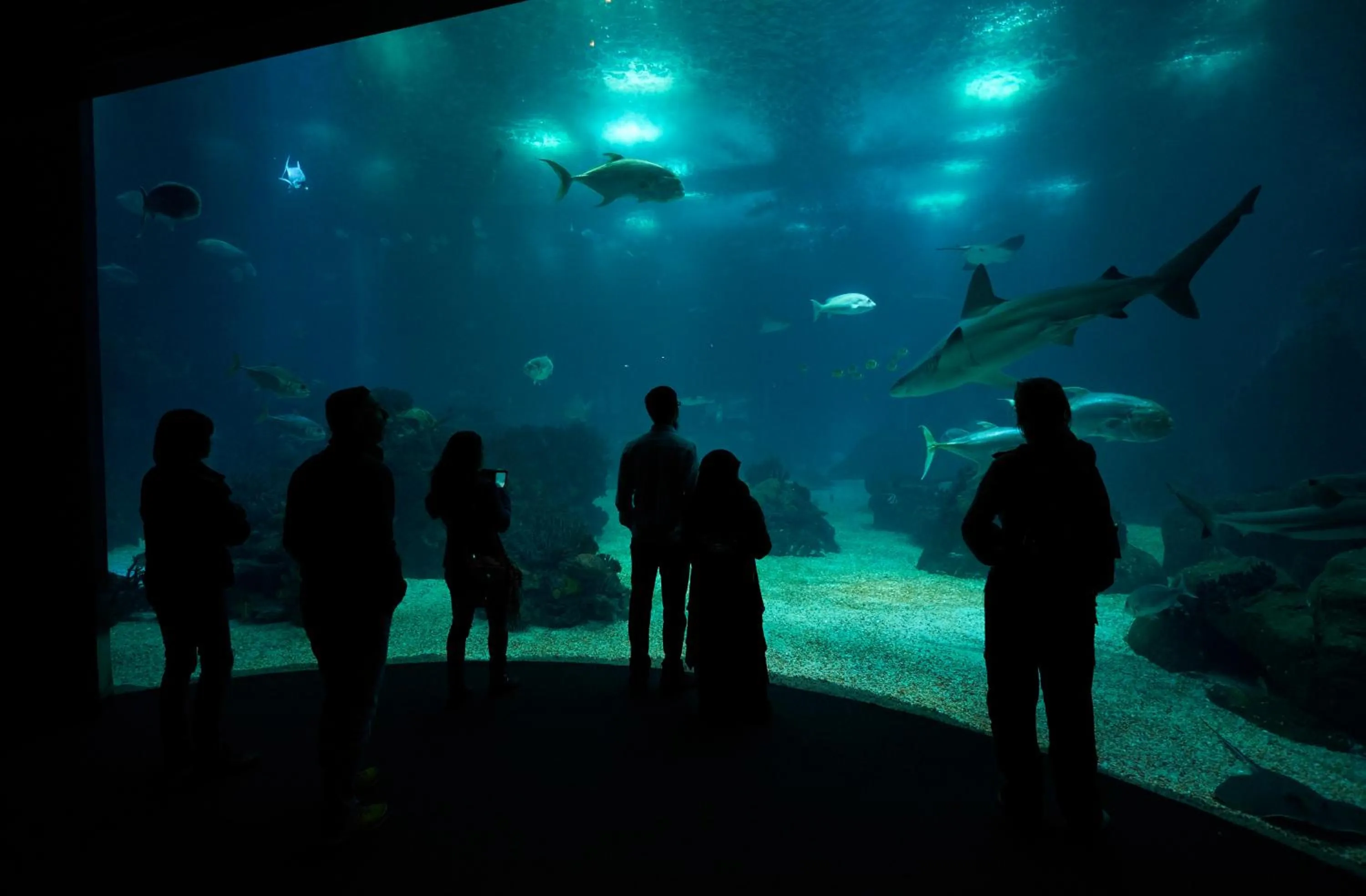 People in Martinhal Lisbon Oriente