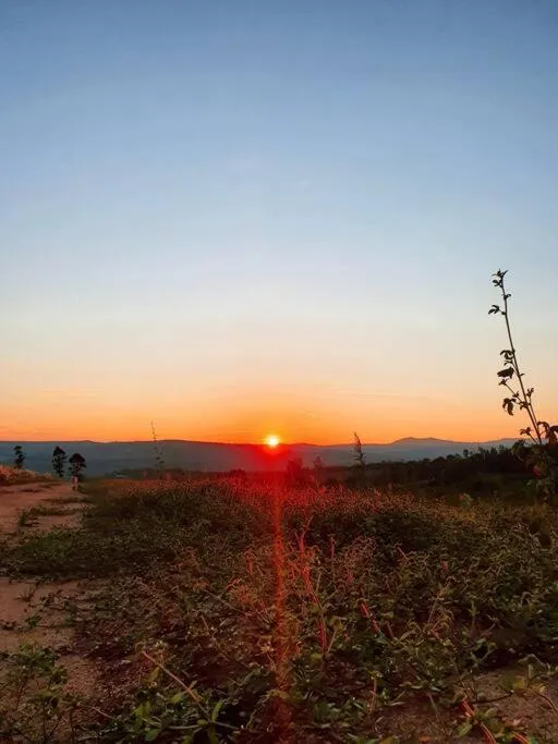 Natural landscape in KatiKati Eco Lodge