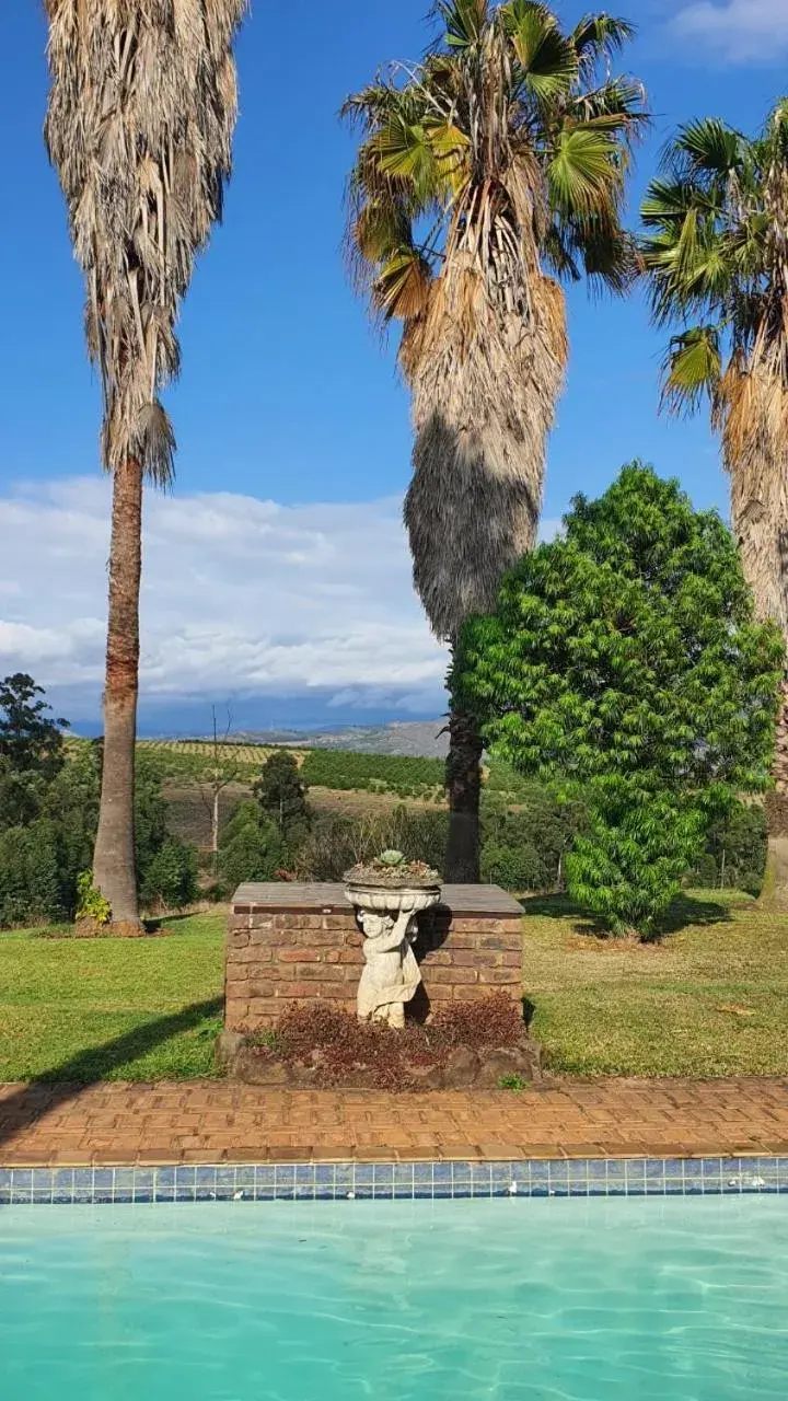 Garden in KatiKati Eco Lodge Garden in KatiKati Eco Lodge