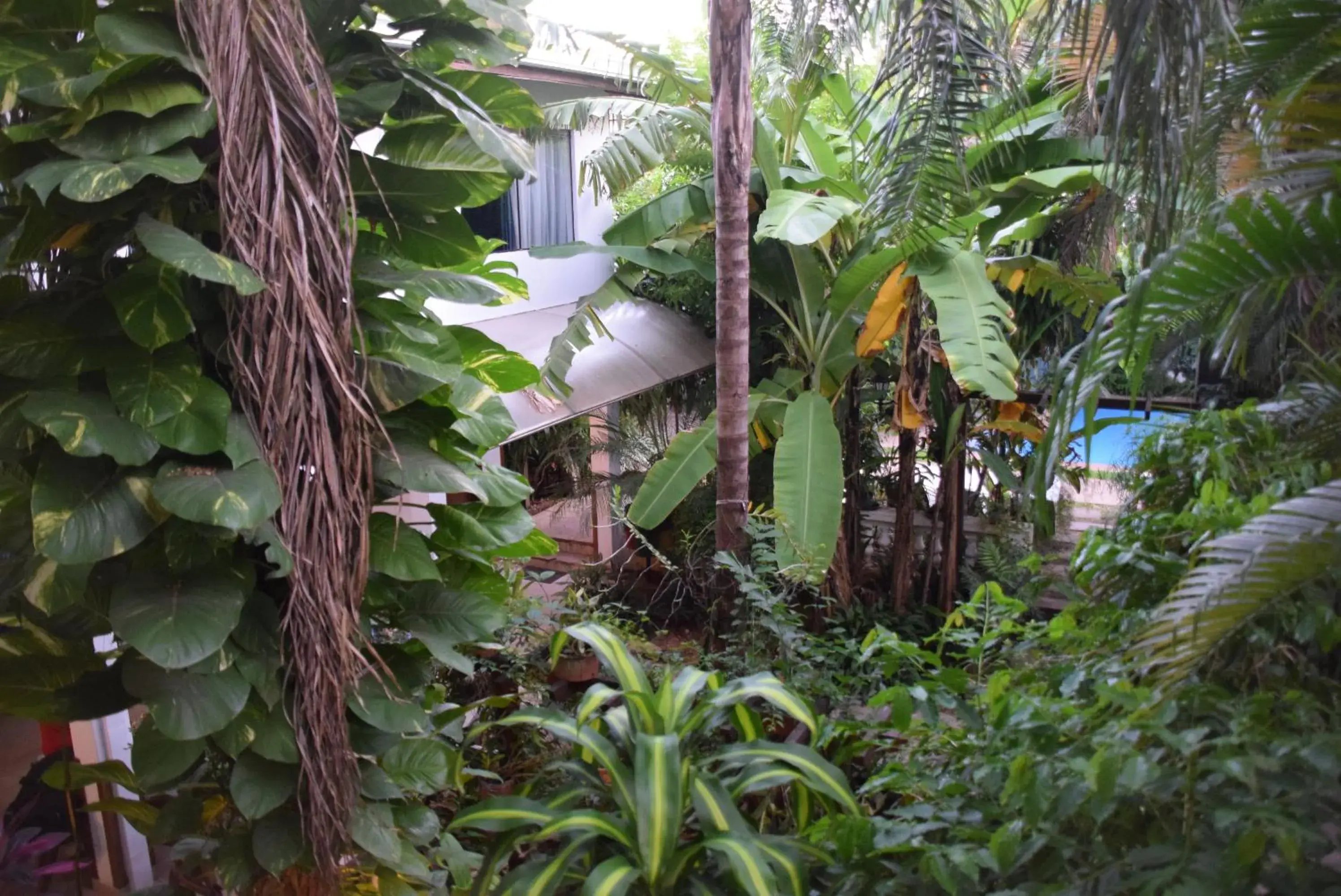 Pool view in Hotel Portal del Sol Pool view in Hotel Portal del Sol