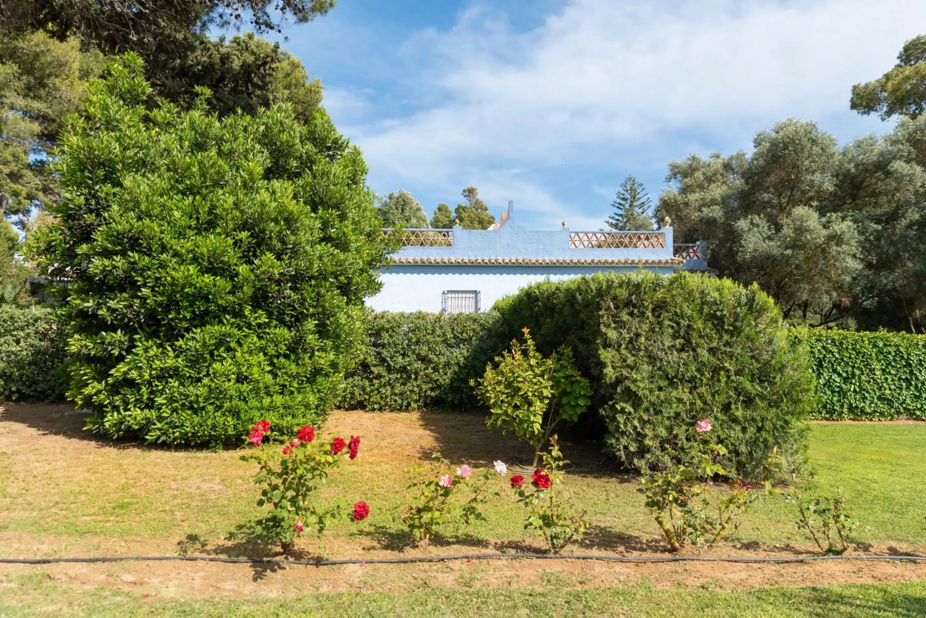 Garden in Suites Cortijo Fontanilla Garden in Suites Cortijo Fontanilla