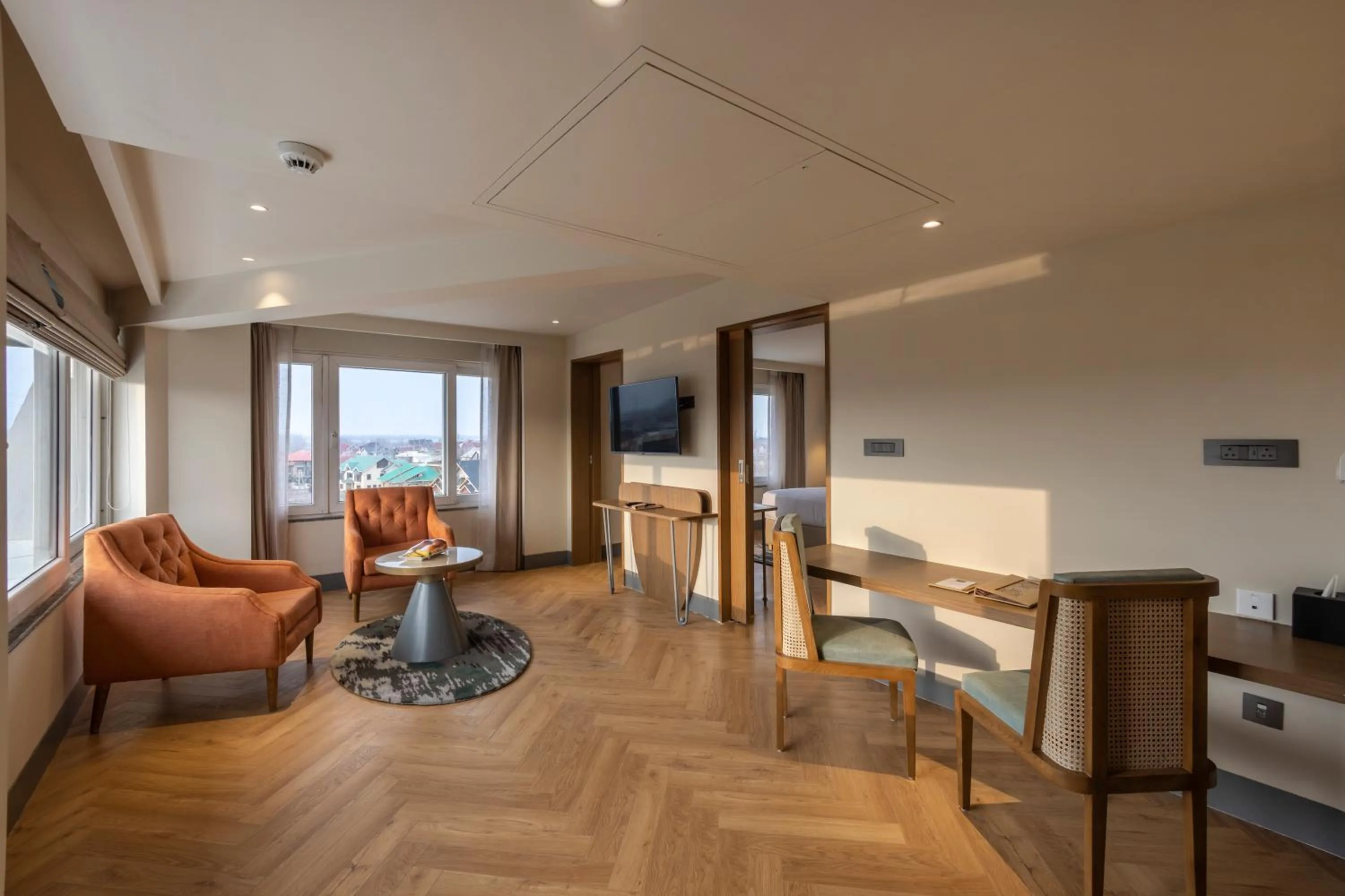 TV and multimedia in Sarovar Portico Srinagar