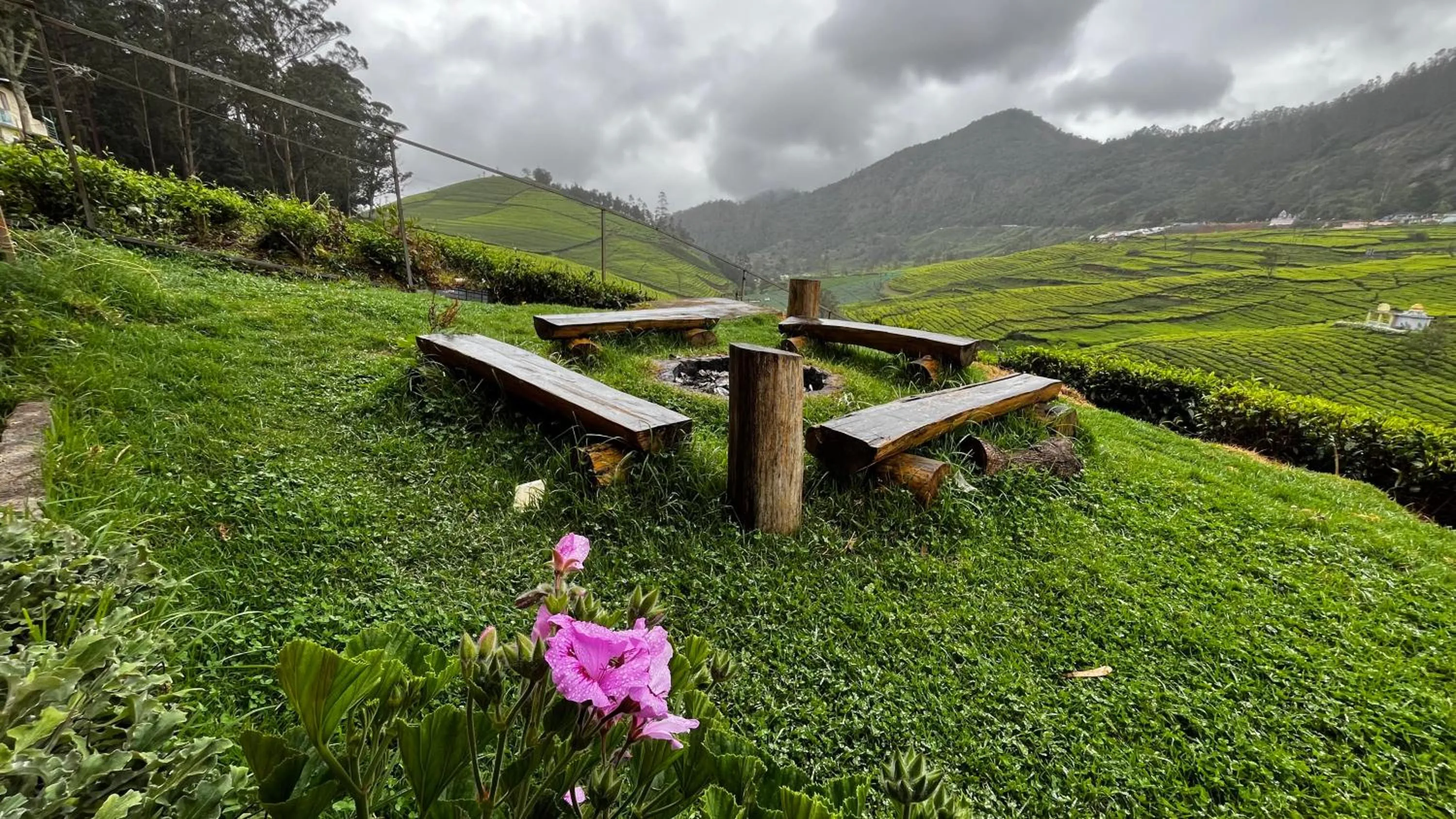 Garden in Tea Leaf Stays by Brown Tree Resorts