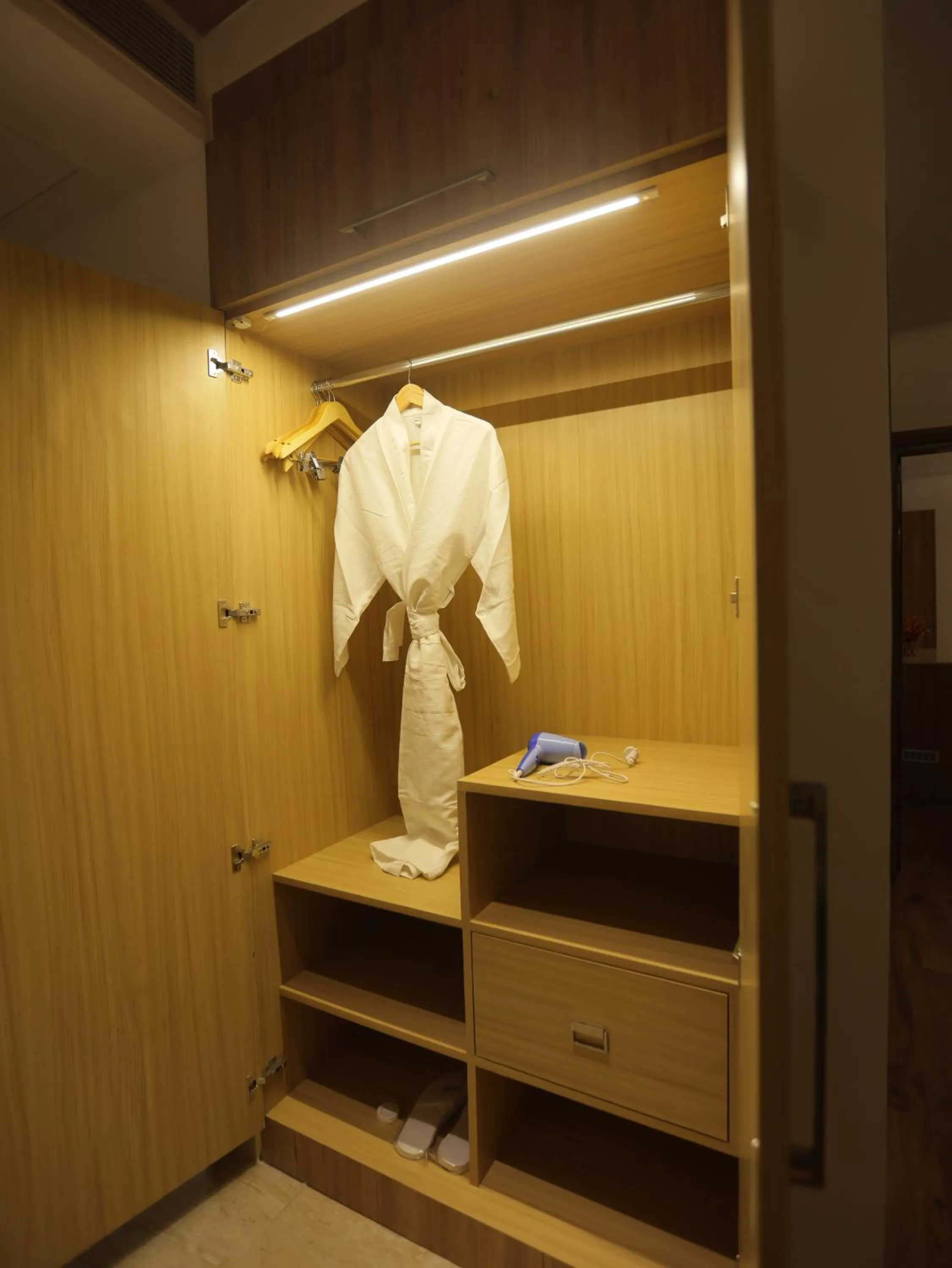 wardrobe in Clarks Inn Express, Dehradun