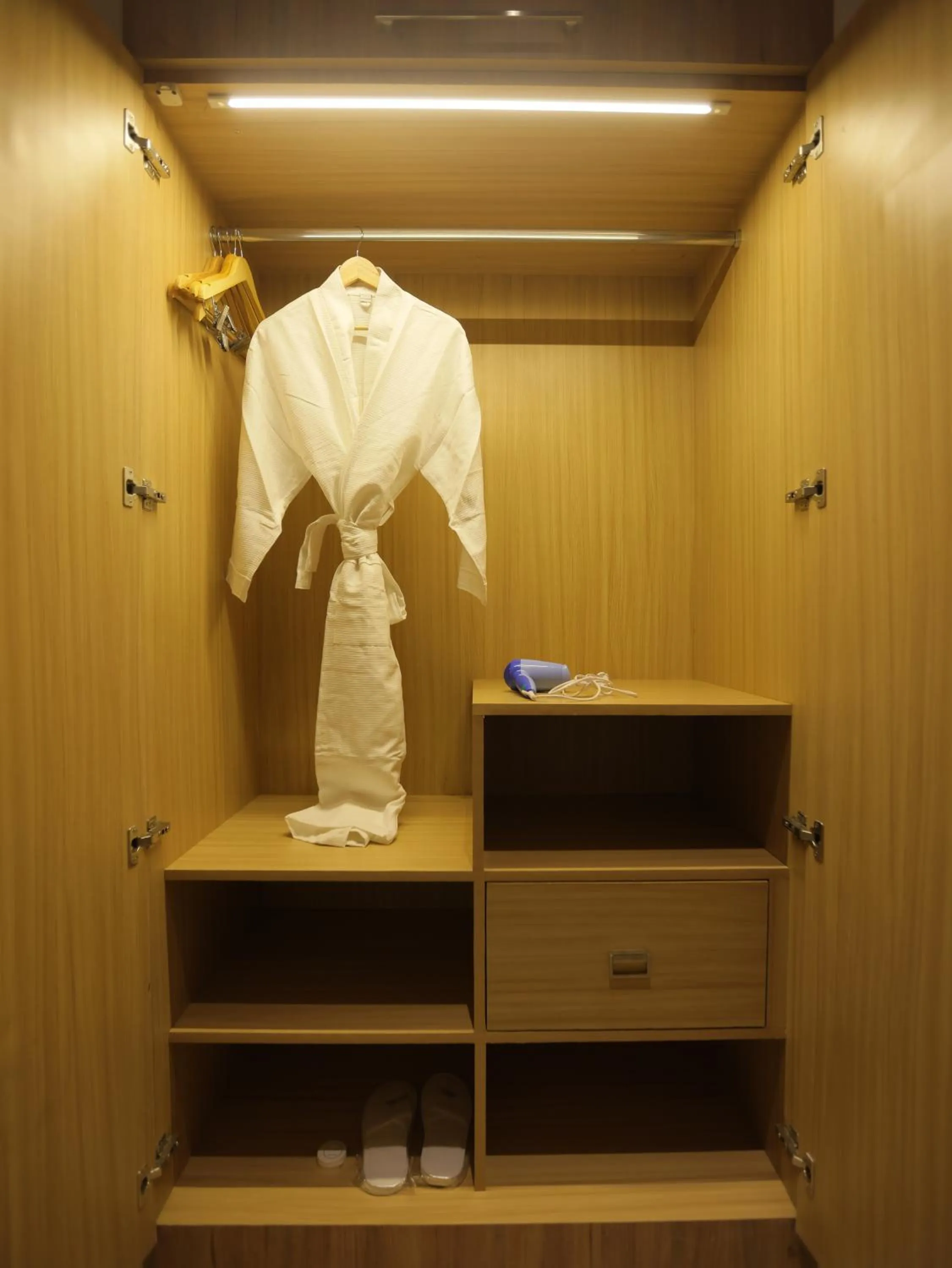 wardrobe in Clarks Inn Express, Dehradun