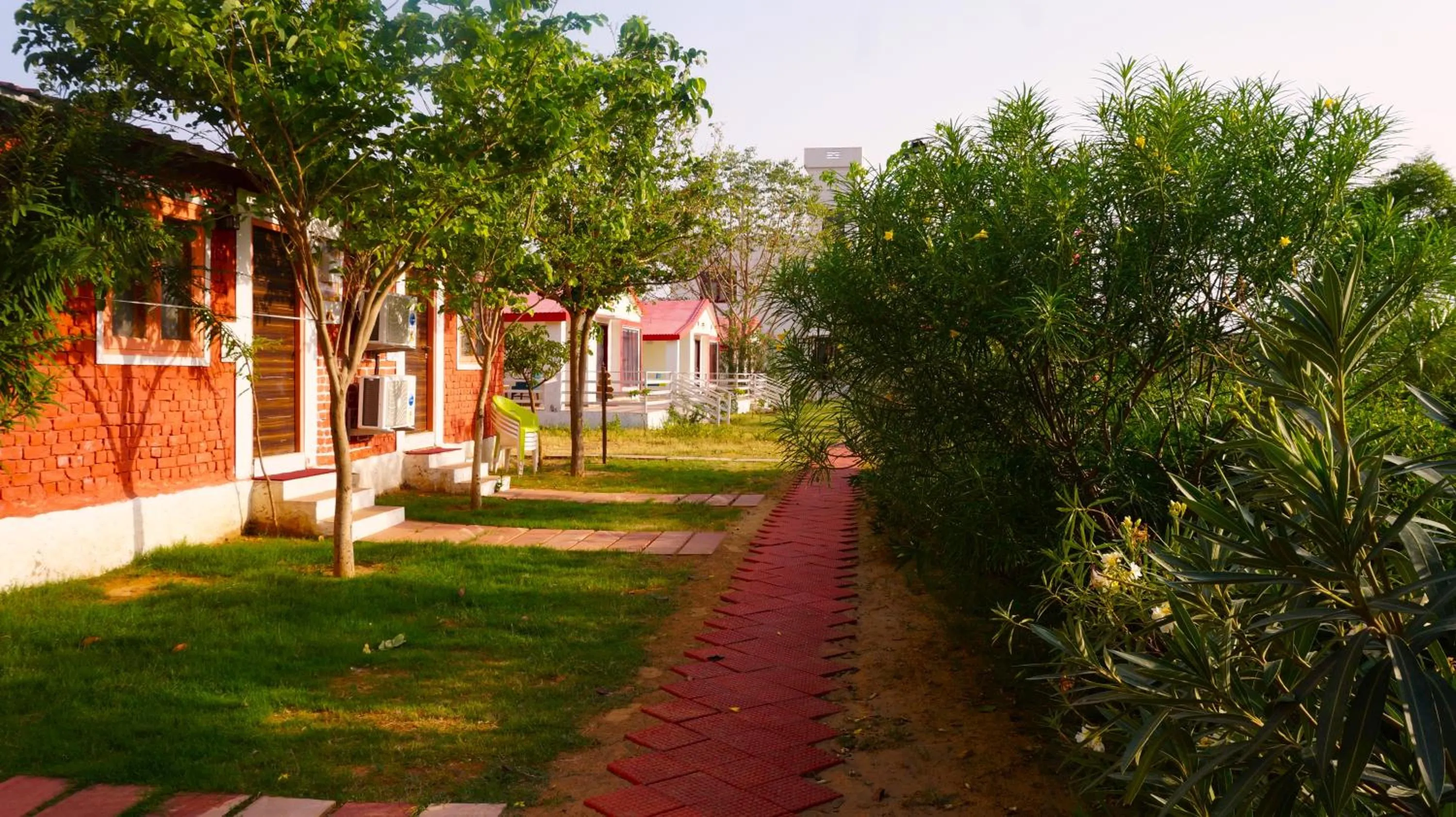 Economy Double Room in Hotel Wow - Relish in the Wild, Lakeside location, Nearest to Sariska Entry Gate 10KM