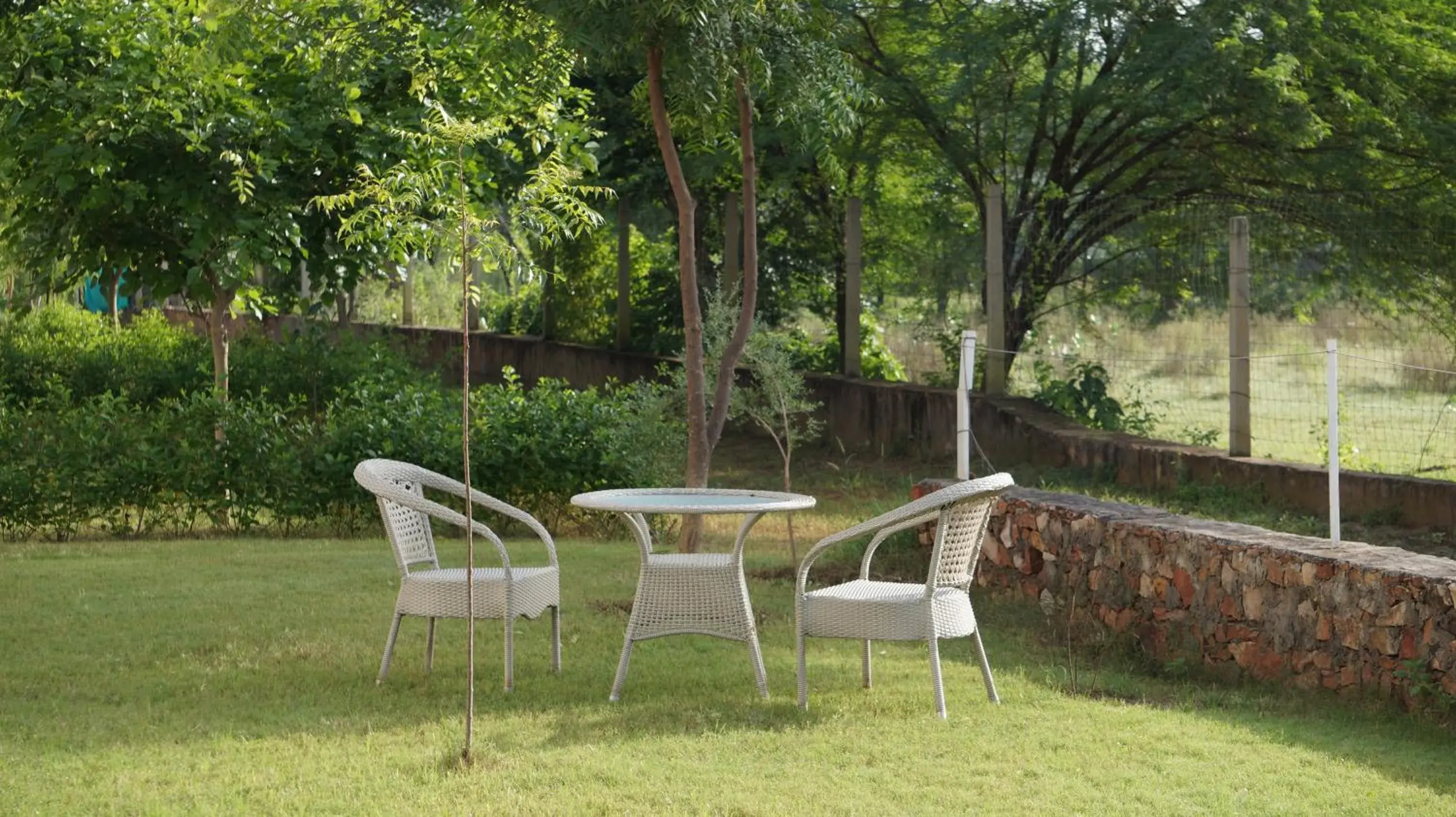 Deluxe King Room in Hotel Wow - Relish in the Wild, Lakeside location, Nearest to Sariska Entry Gate 10KM Deluxe King Room in Hotel Wow - Relish in the Wild, Lakeside location, Nearest to Sariska Entry Gate 10KM