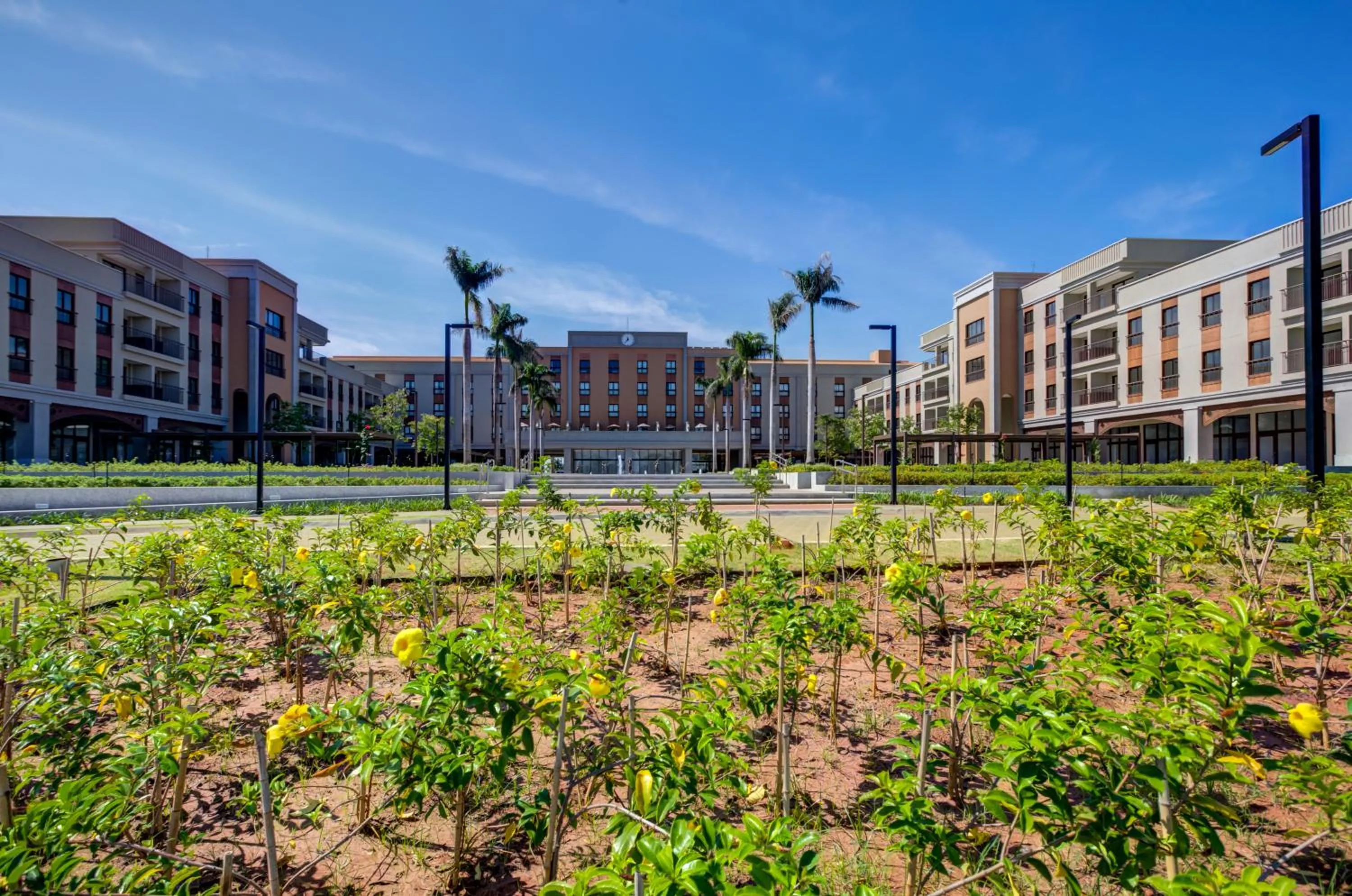 Facade/entrance in Hilton Garden Inn São José do Rio Preto
