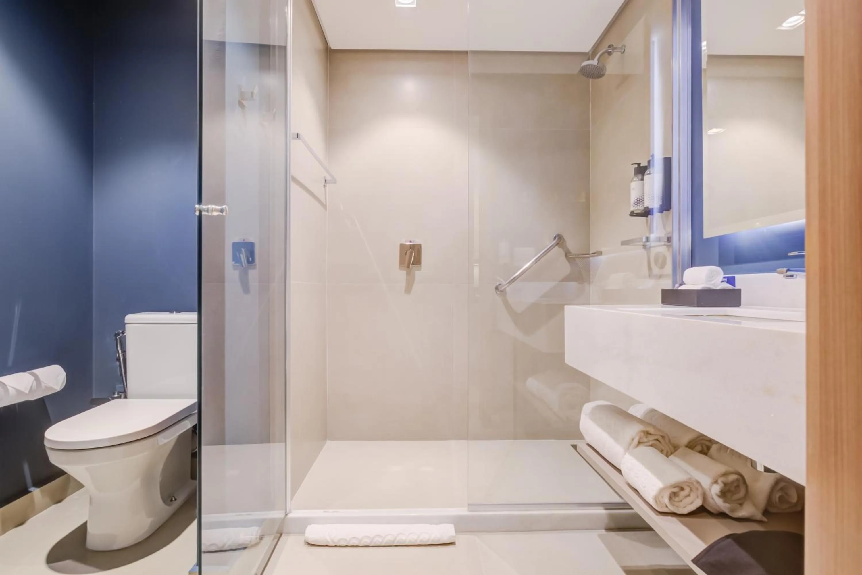 Bathroom in Hilton Garden Inn São José do Rio Preto