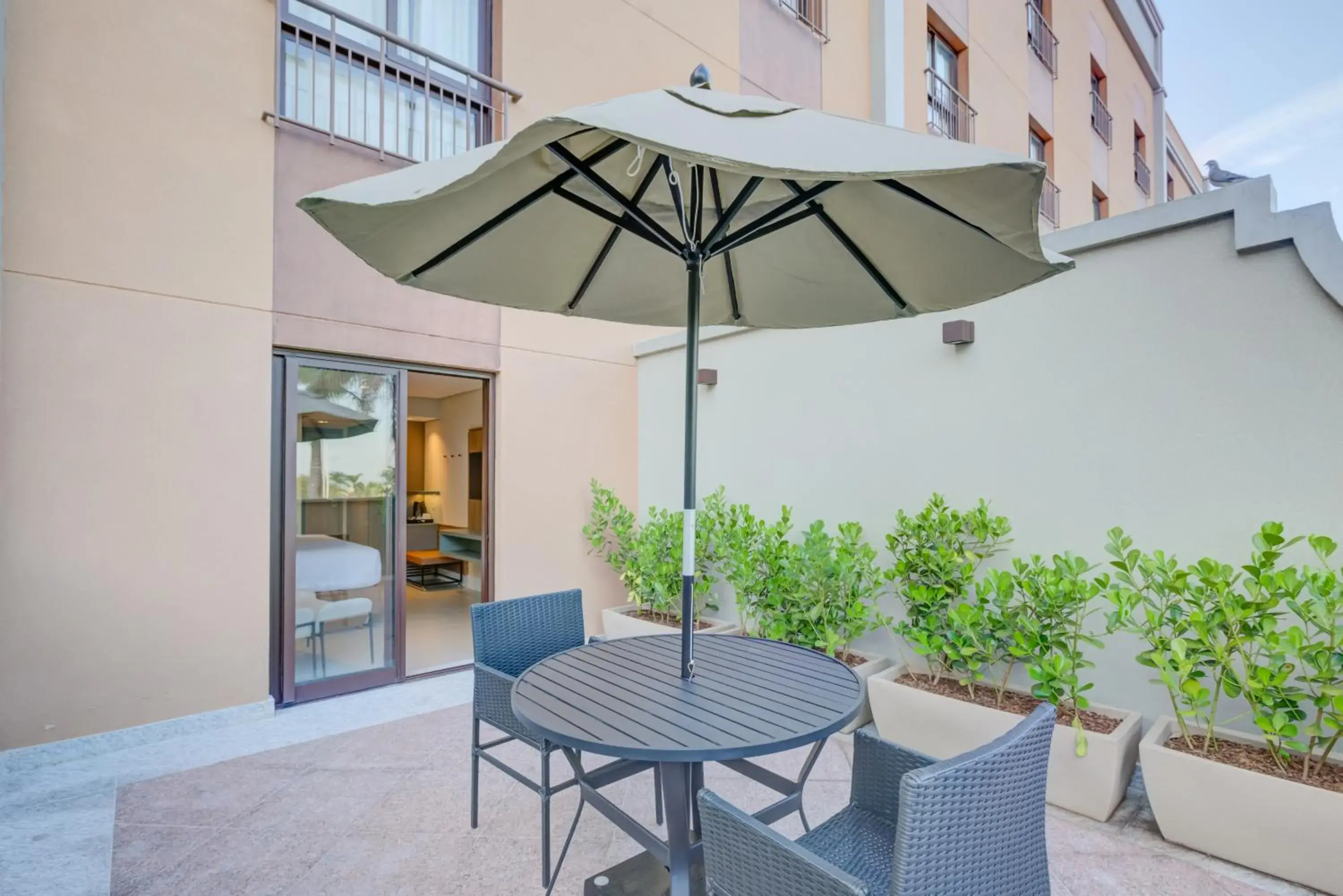 View (from property/room) in Hilton Garden Inn São José do Rio Preto View (from property/room) in Hilton Garden Inn São José do Rio Preto