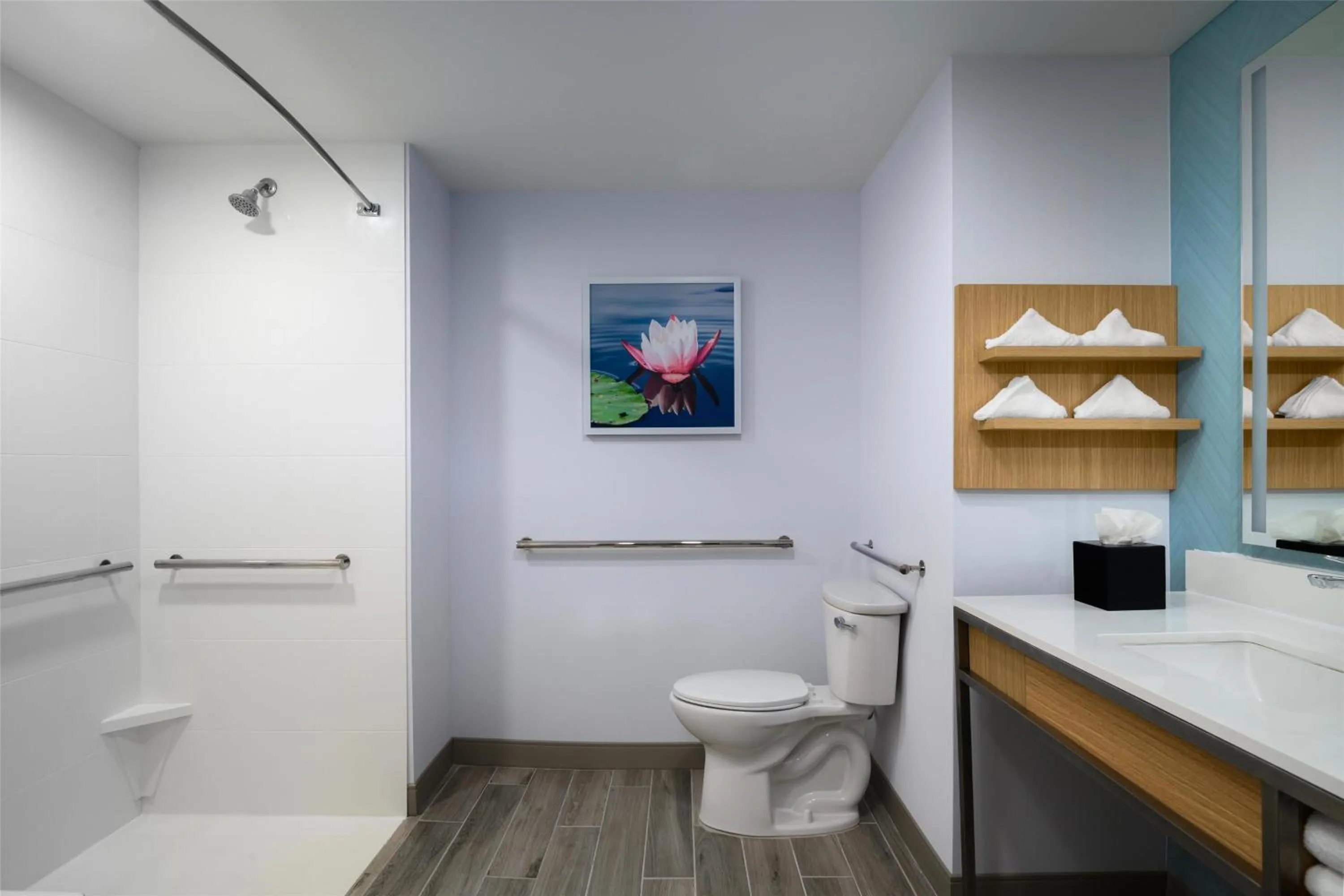 Bathroom in Hilton Garden Inn Orlando I-4 Millenia Blvd Mall