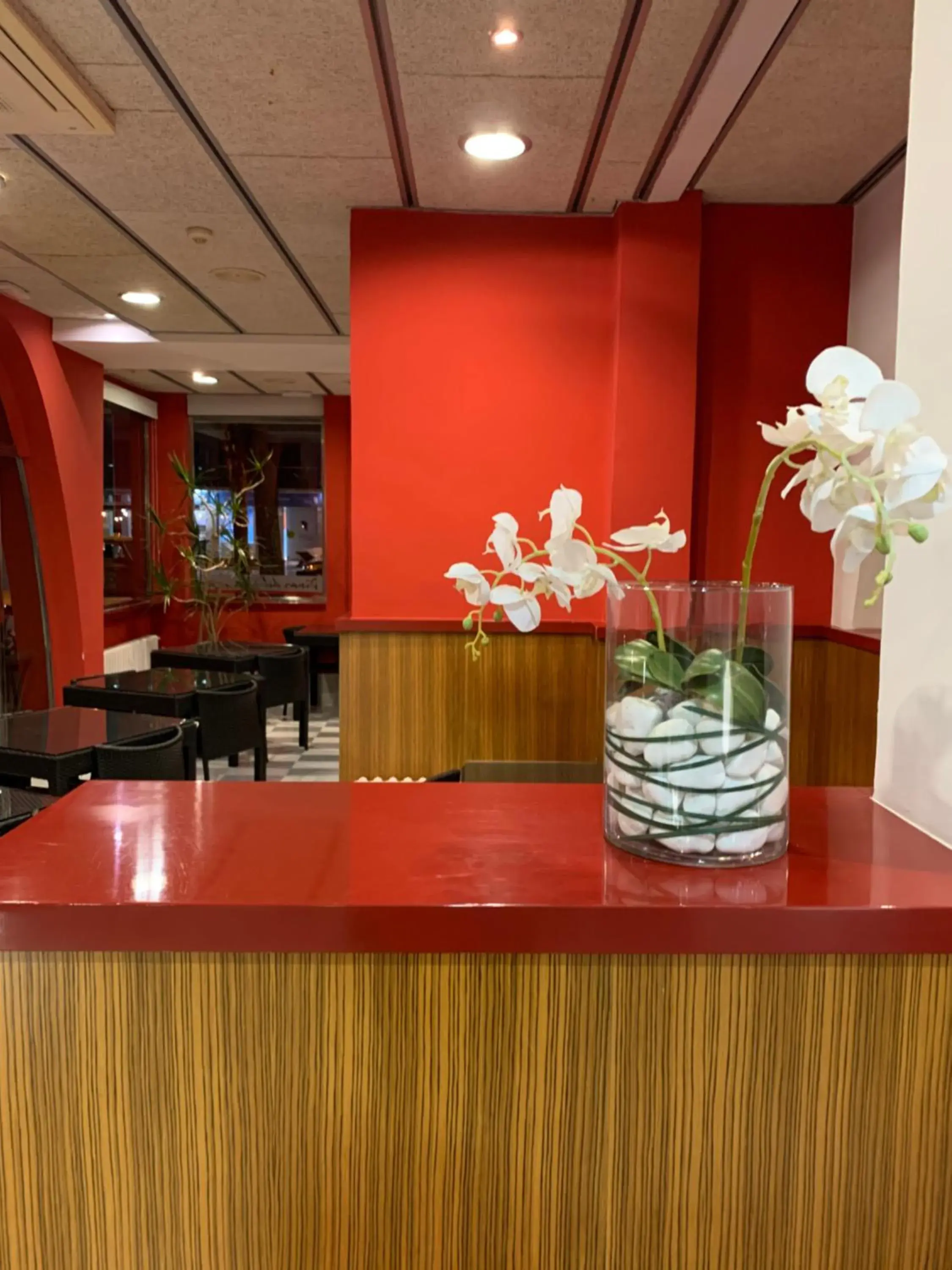 Lobby or reception in Hotel Spa Pinar del Mar Lobby or reception in Hotel Spa Pinar del Mar