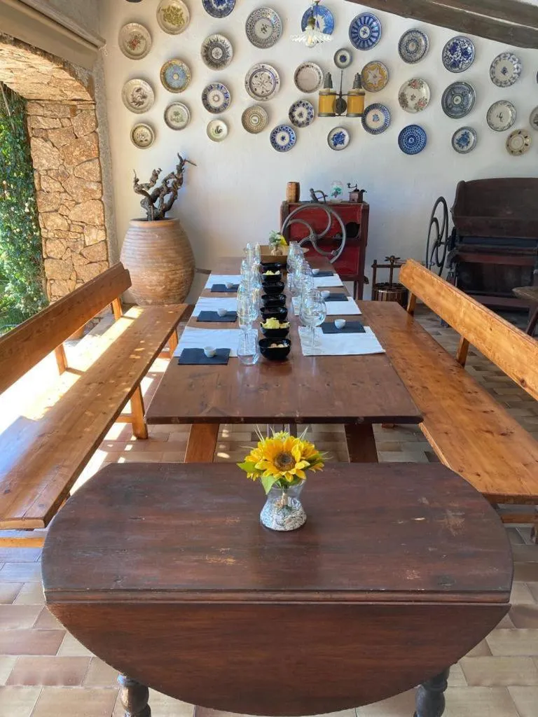 Food and drinks in Hotel Spa Pinar del Mar