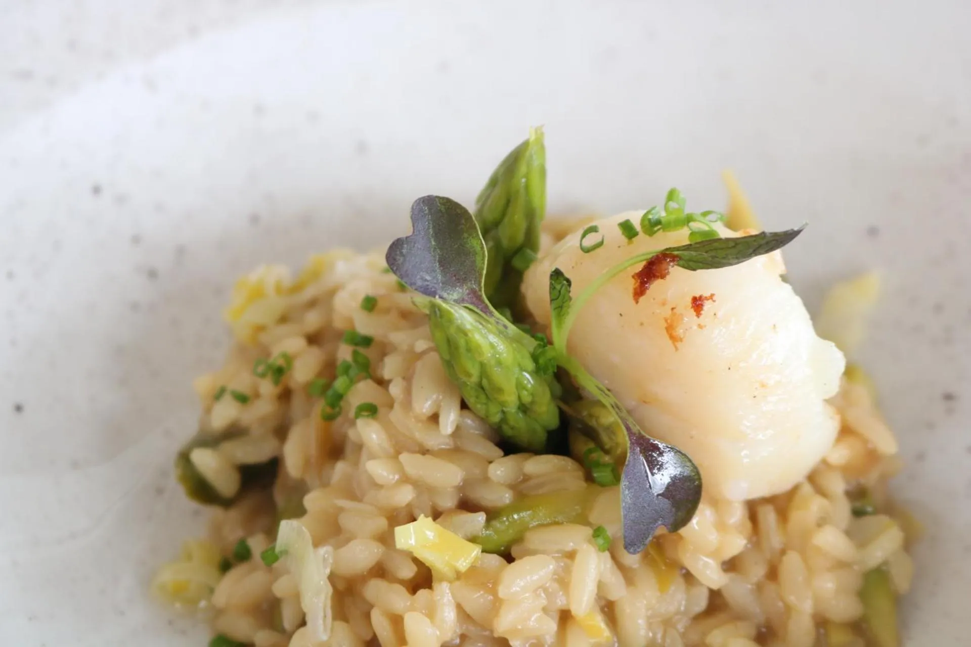 Food close-up in Golden Mar Menuda