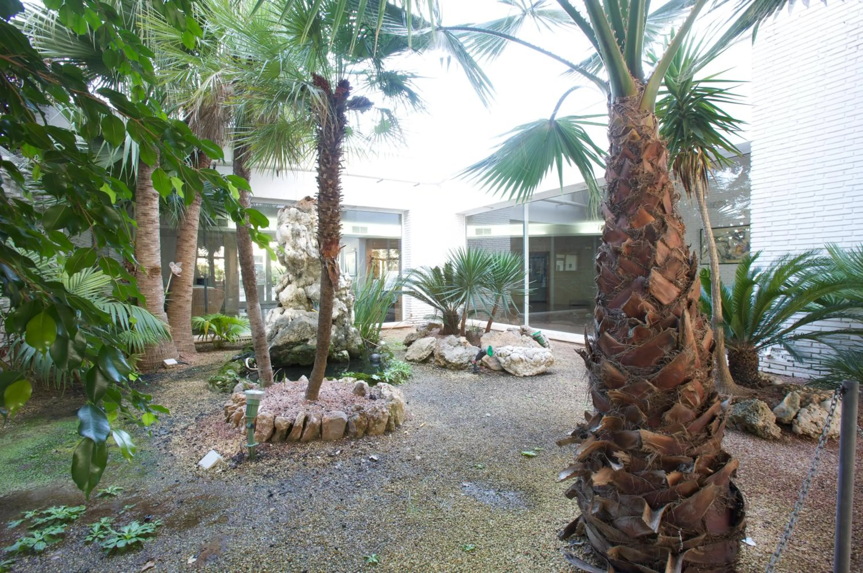 Garden in Carlos III