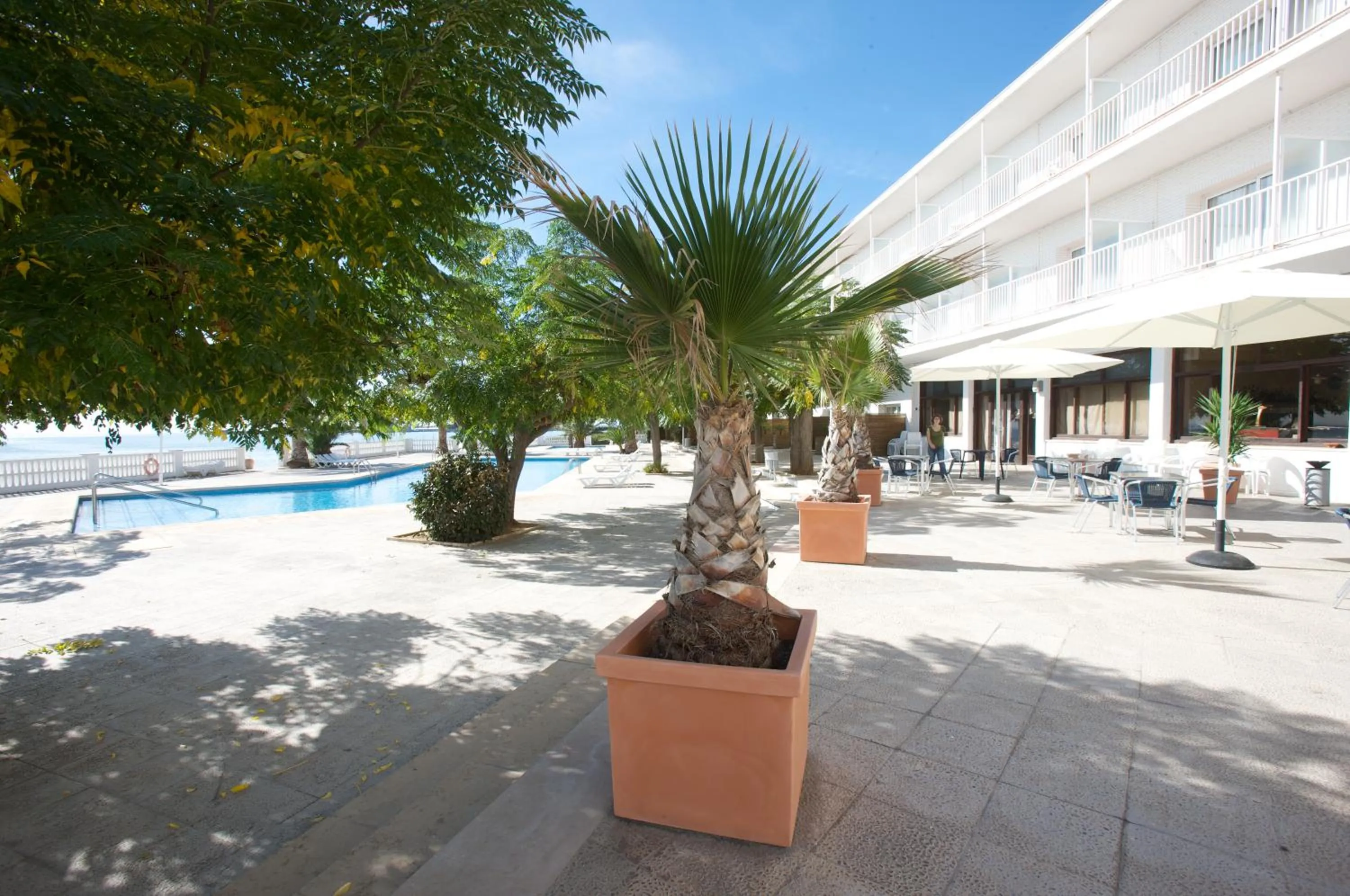 Swimming pool in Carlos III