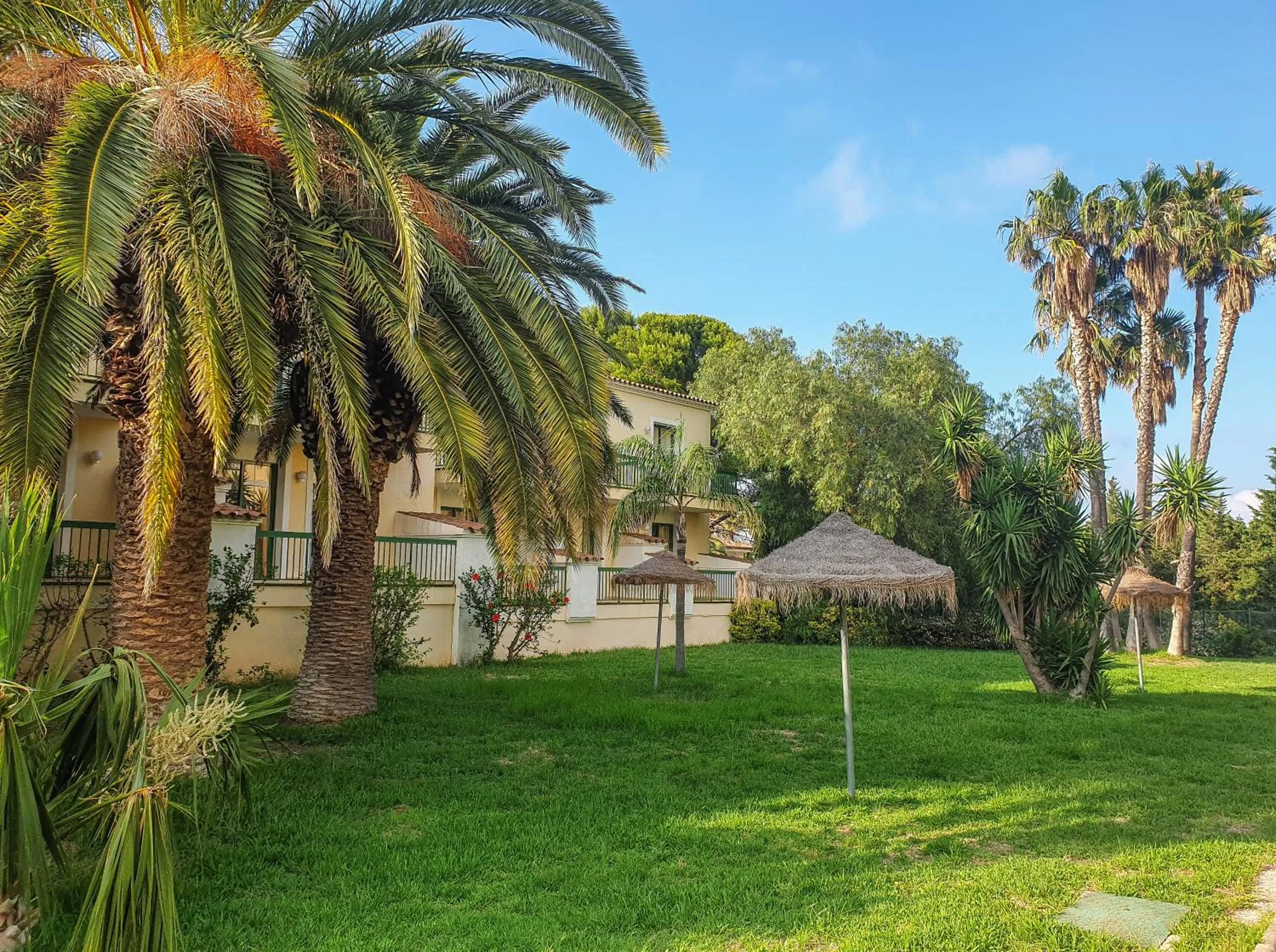 Garden in ALEGRIA Pino Alto