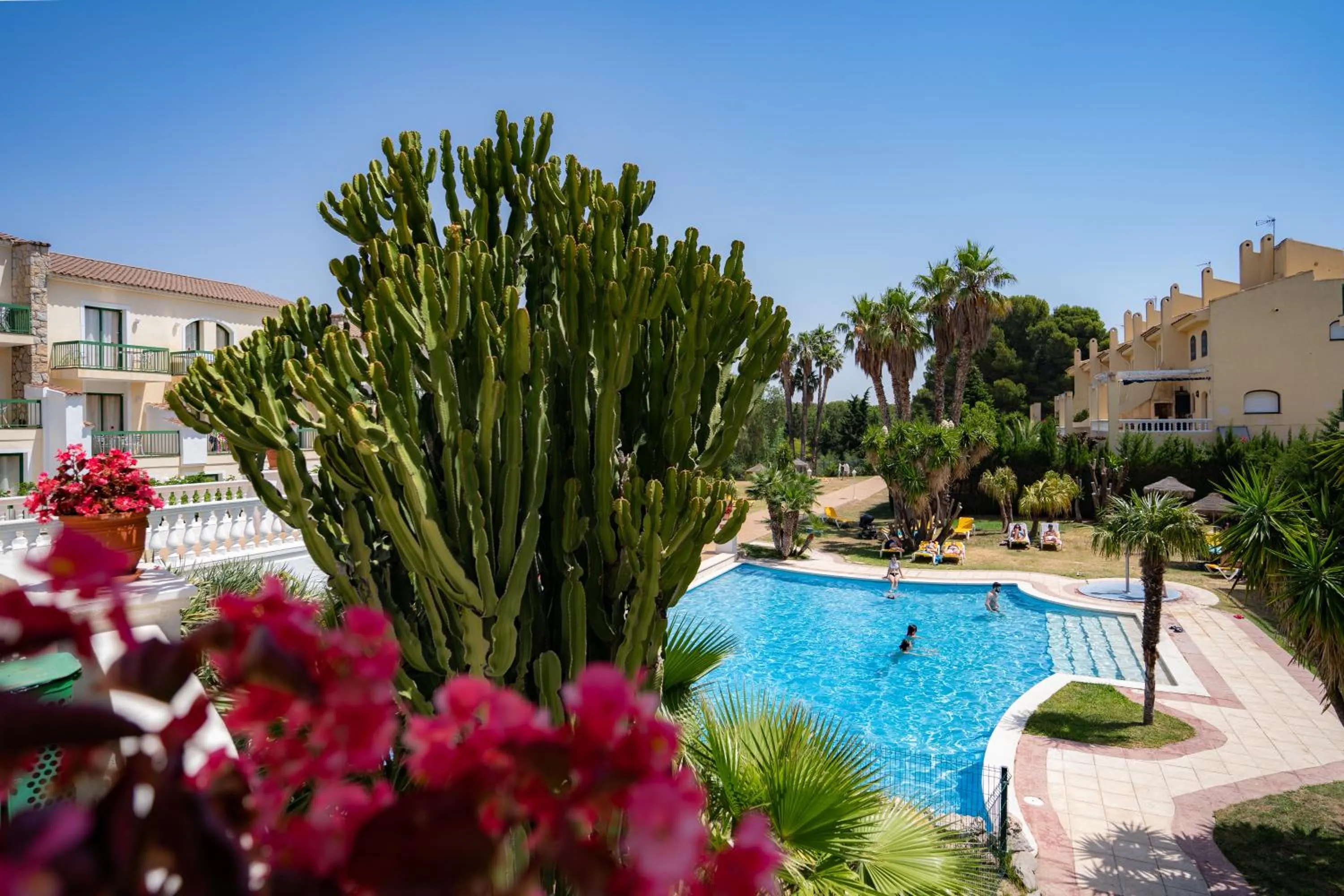 Swimming pool in ALEGRIA Pino Alto