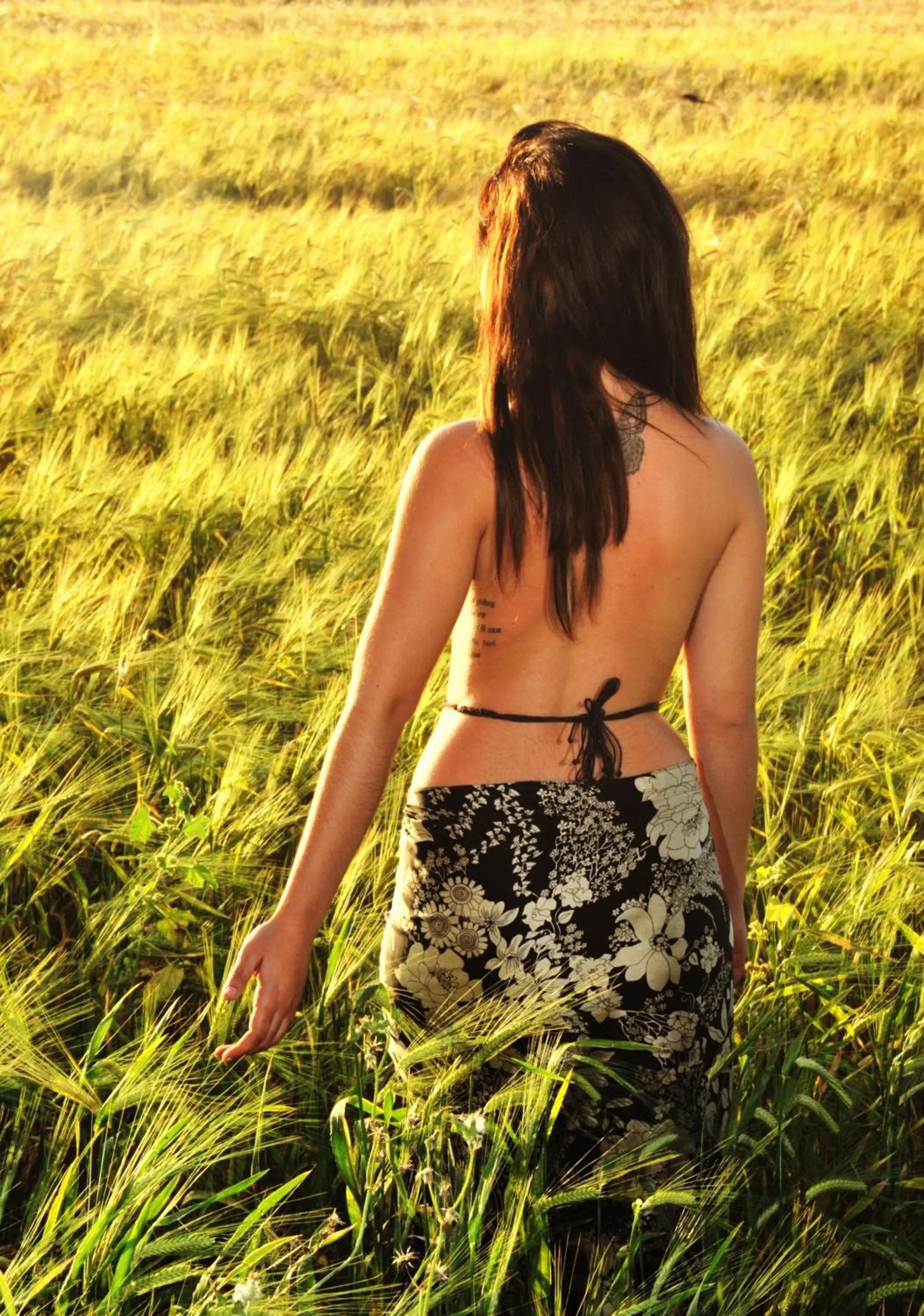 Property building in Viva Tourismo Resort (naturist club)