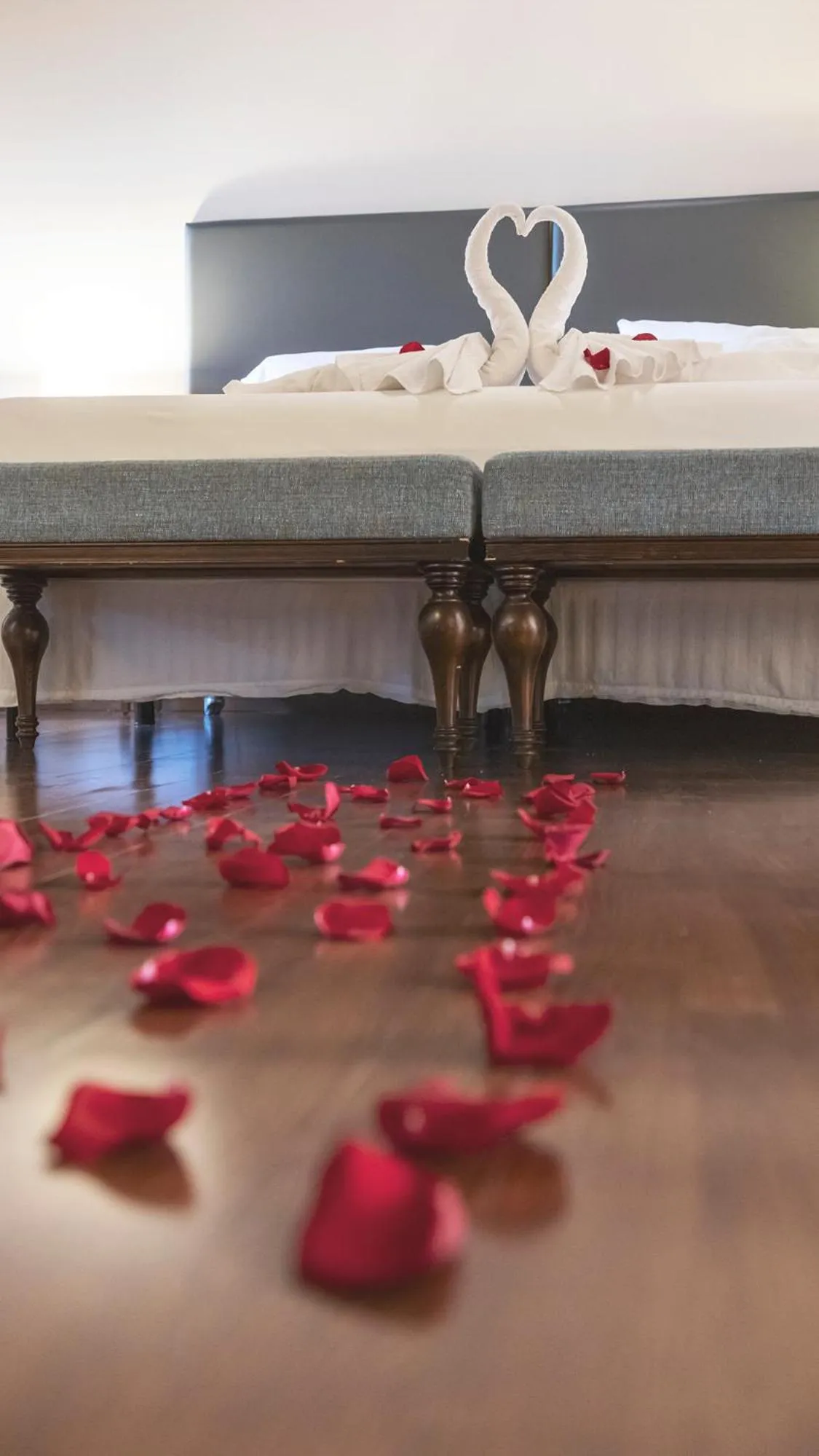 Hotel & Spa Real Badaguás Jaca