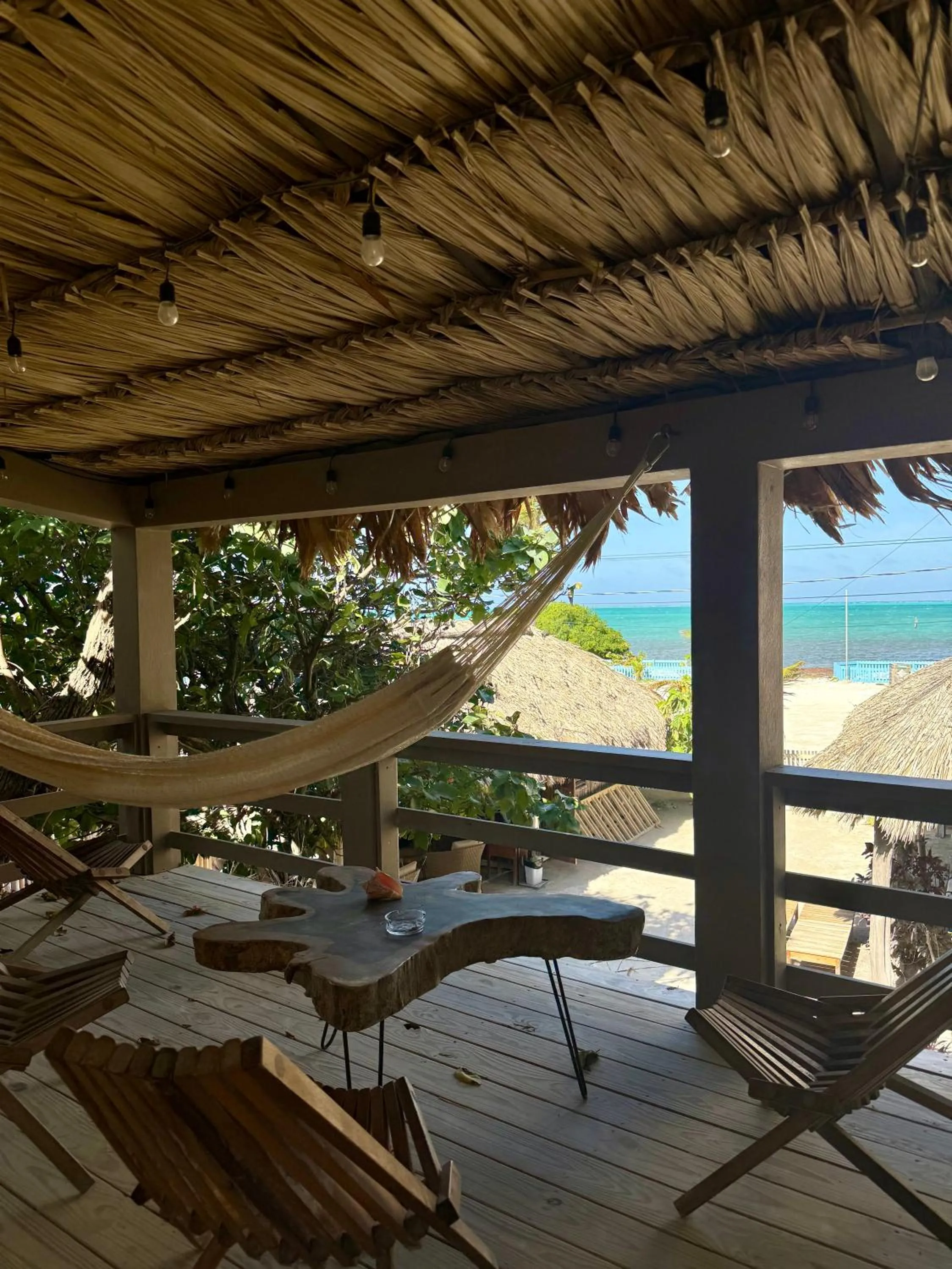 View (from property/room) in The Bounty