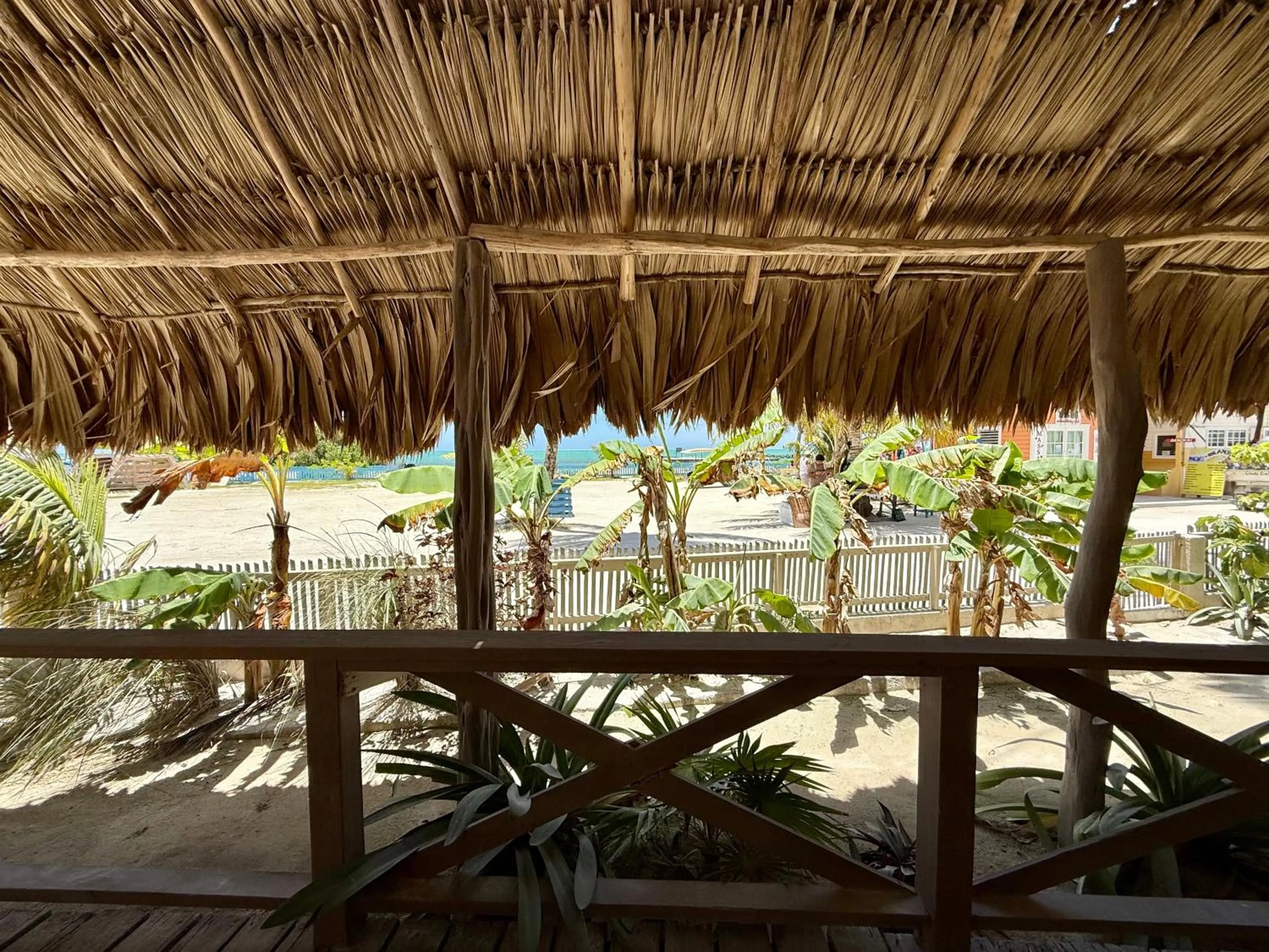 View (from property/room) in The Bounty