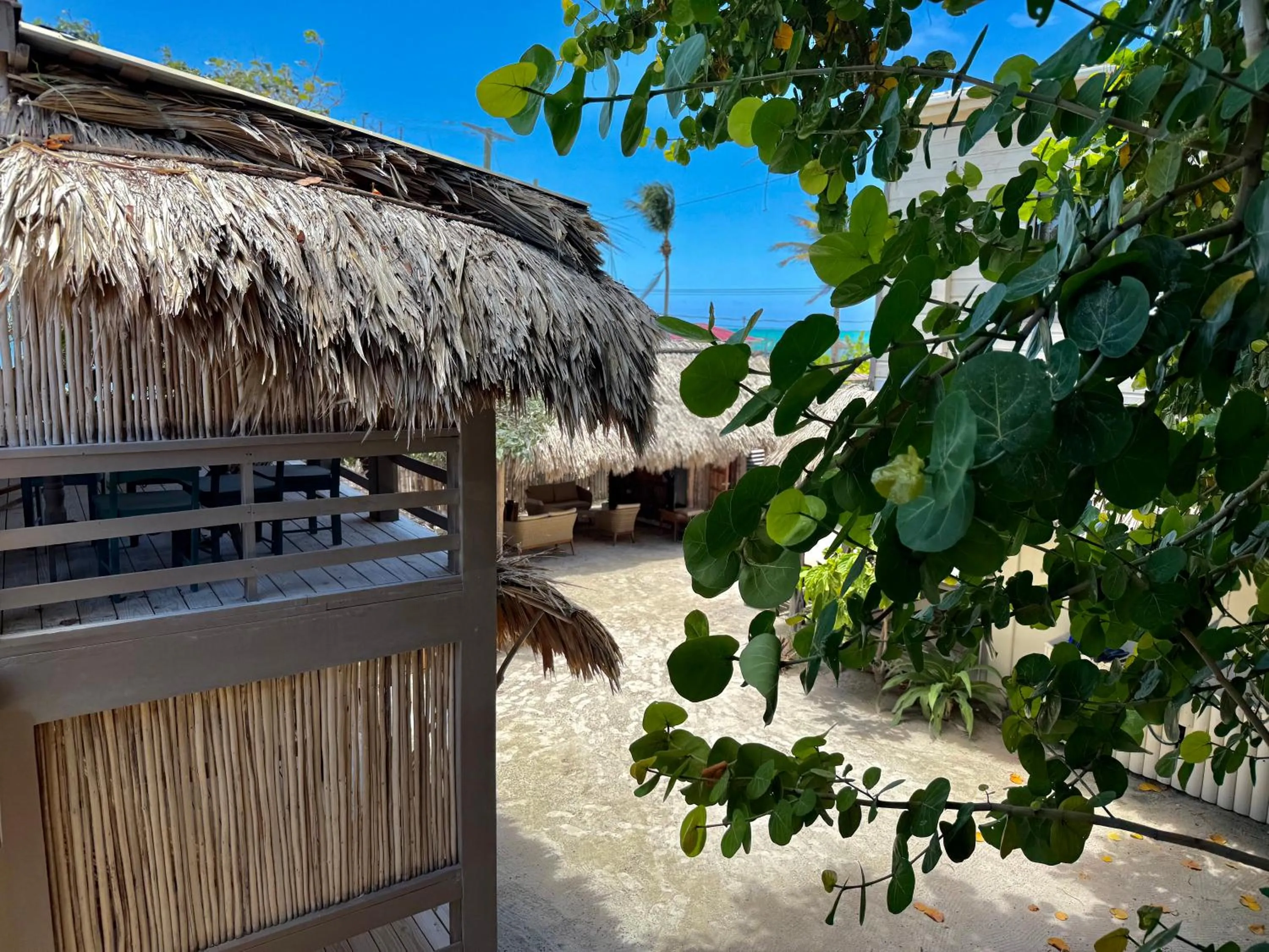 View (from property/room) in The Bounty