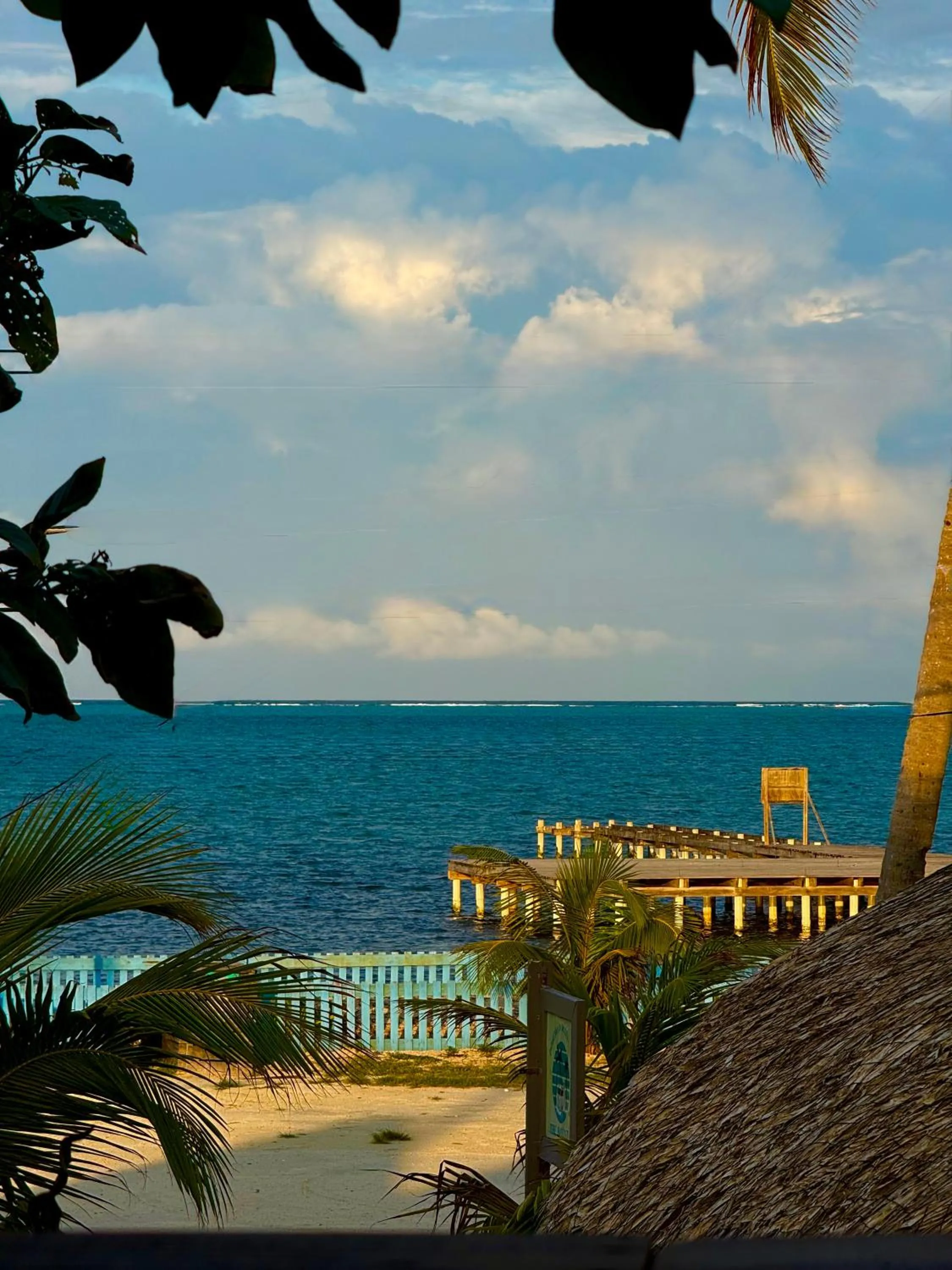 View (from property/room) in The Bounty