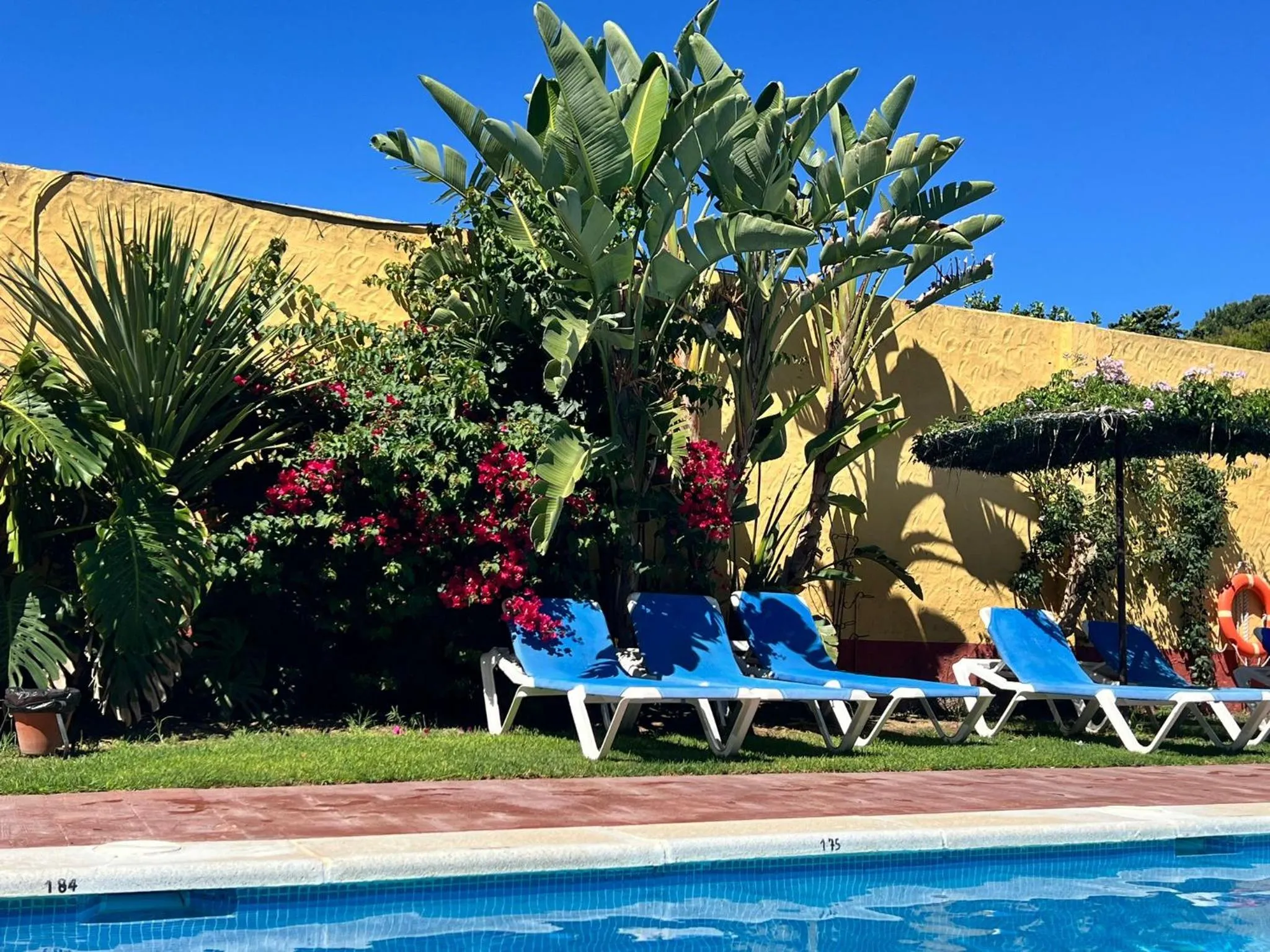 Swimming pool in Hotel Pinomar