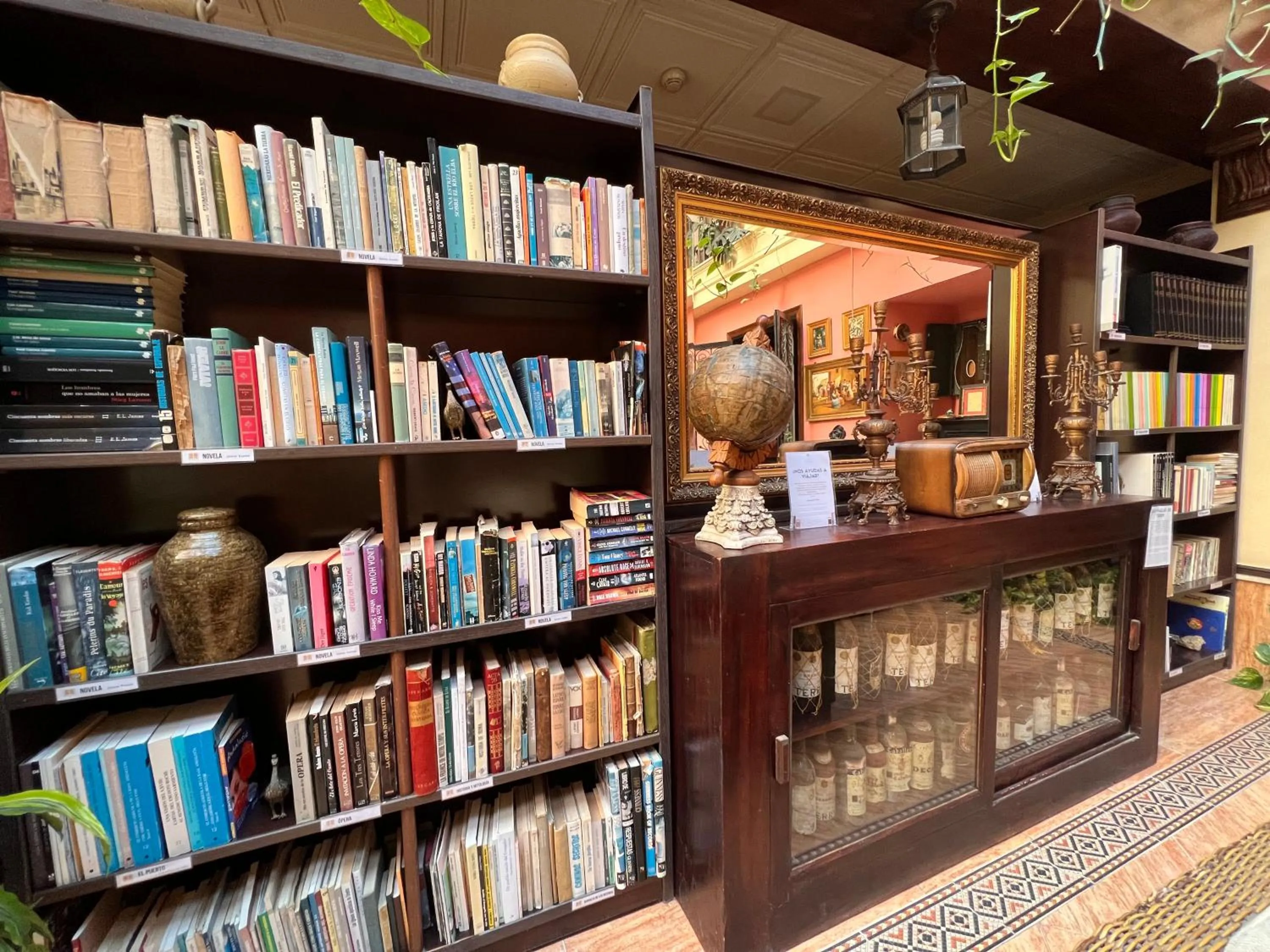 Library in Hotel Pinomar