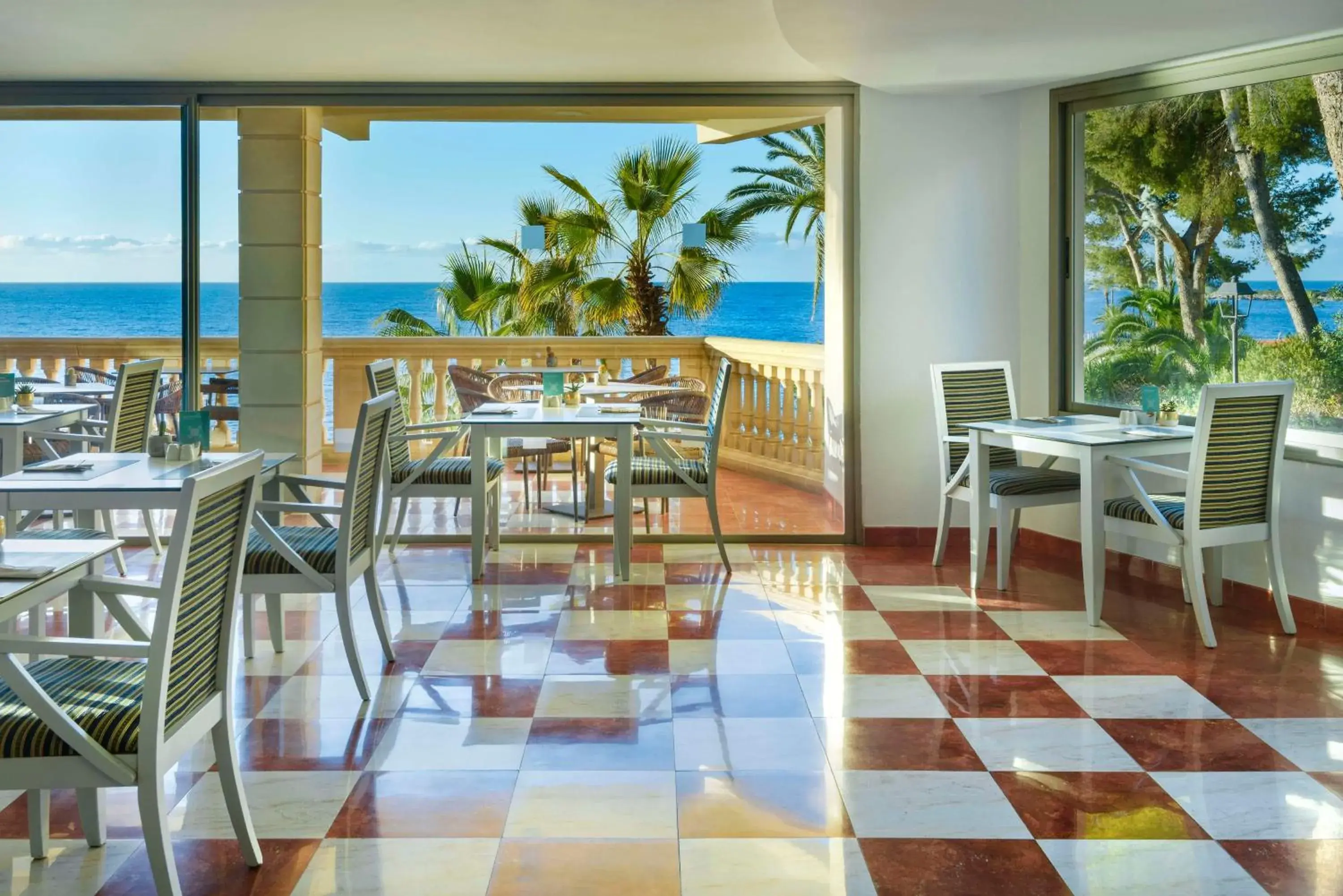 Restaurant/places to eat in Barceló Illetas Albatros - Adults Only Restaurant/places to eat in Barceló Illetas Albatros - Adults Only