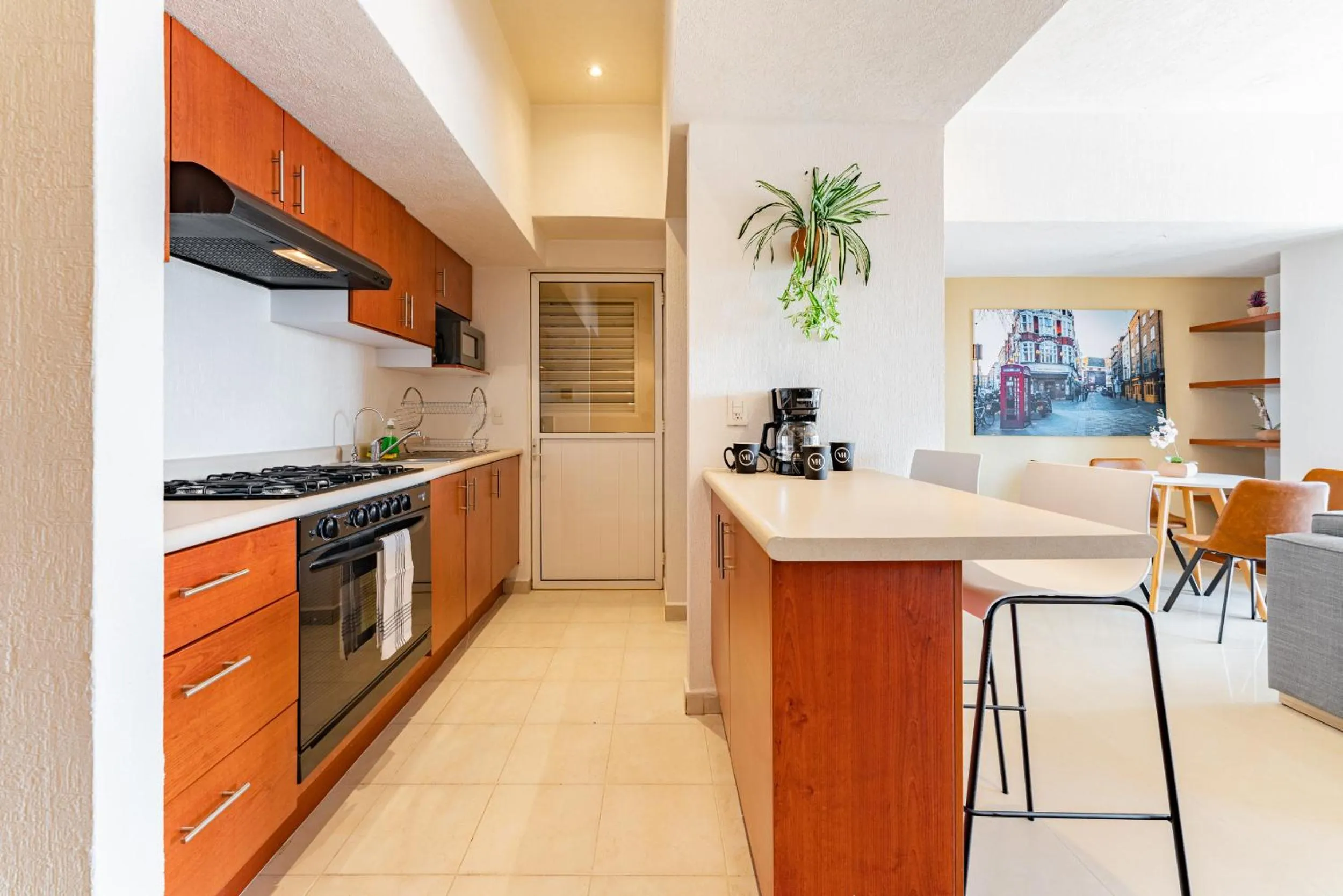 Kitchen or kitchenette in Anahuac Apartments by VH