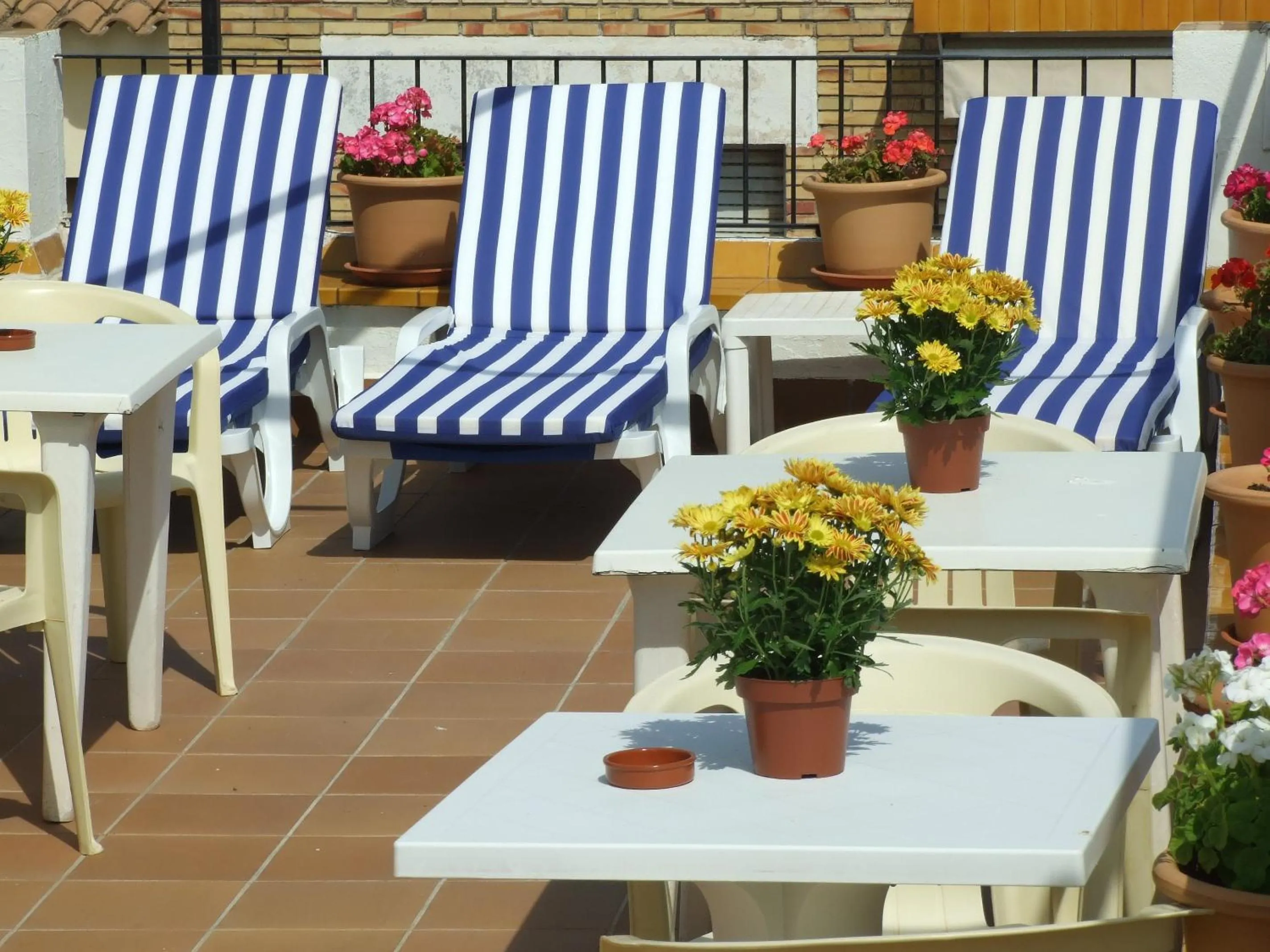 Balcony/Terrace in Hotel Montserrat