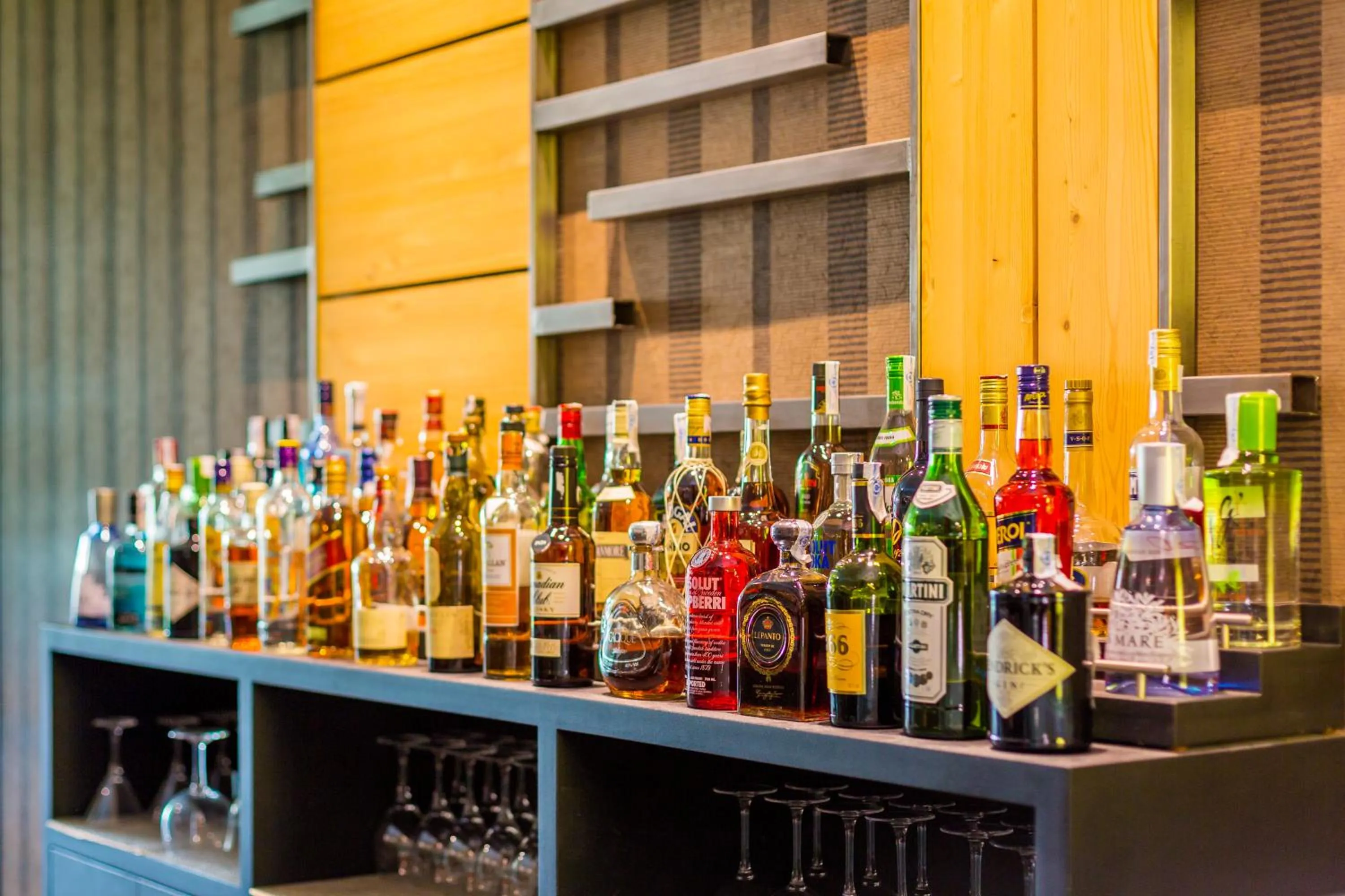 Lounge or bar in Eurostars Monte Real