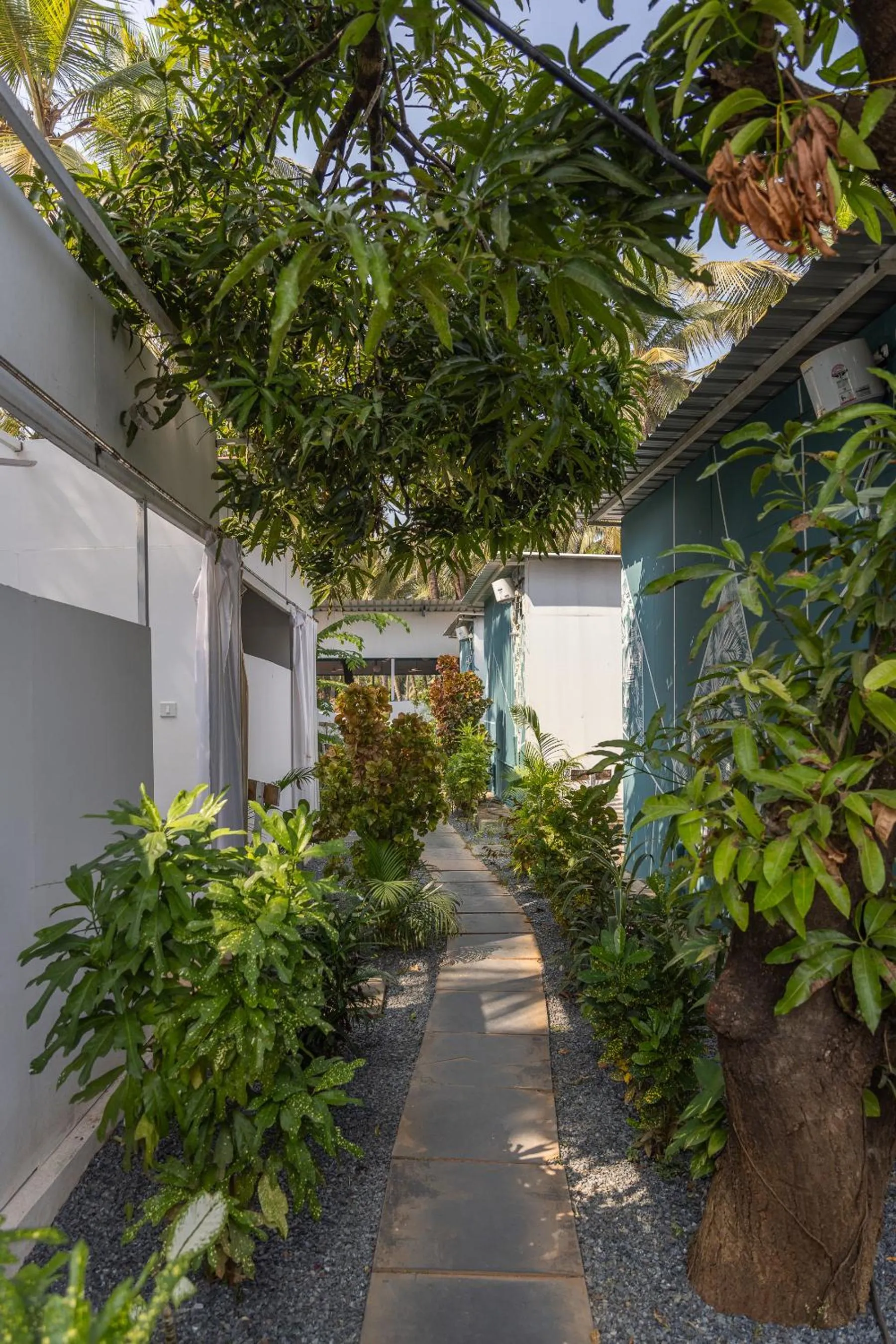 Garden in Crystall Goa Turquoise Edition