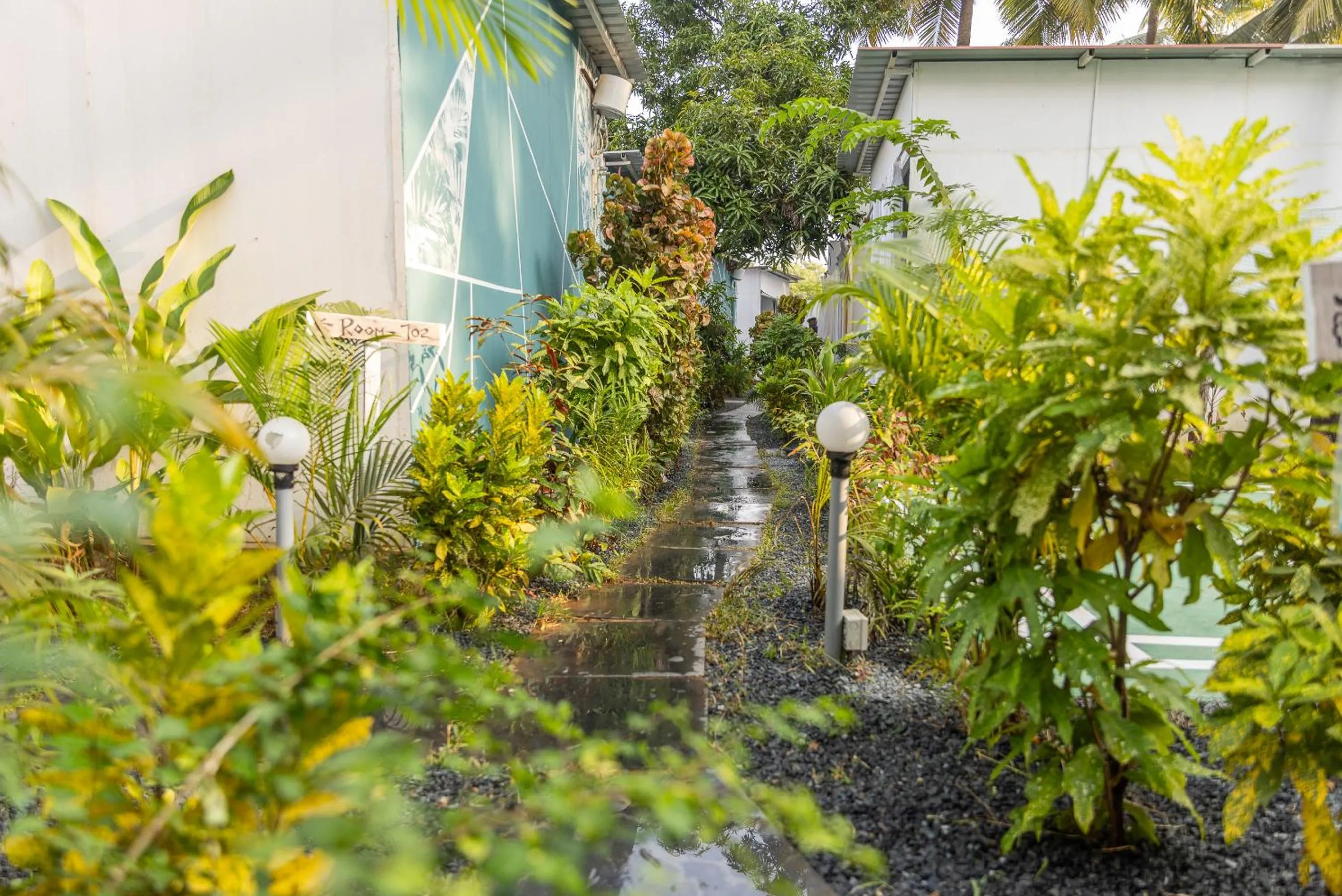 Day in Crystall Goa Turquoise Edition