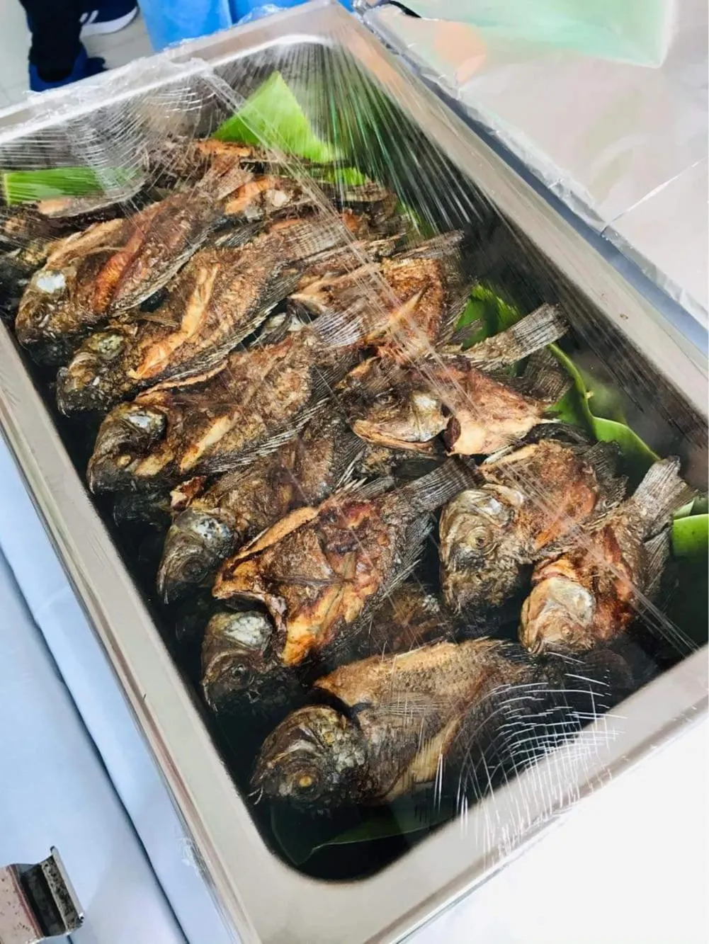 Endless Summer Hotel Baler