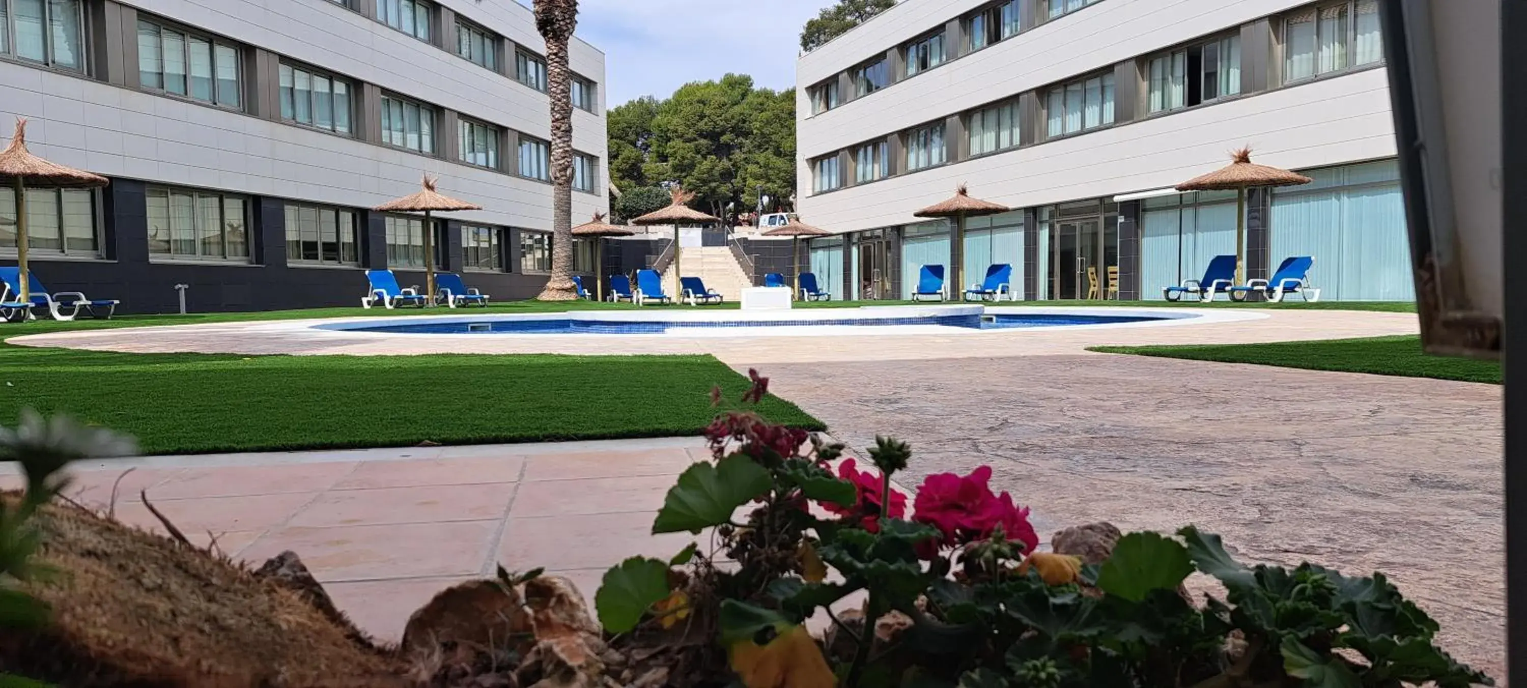 Garden view in Daniya Alicante Garden view in Daniya Alicante