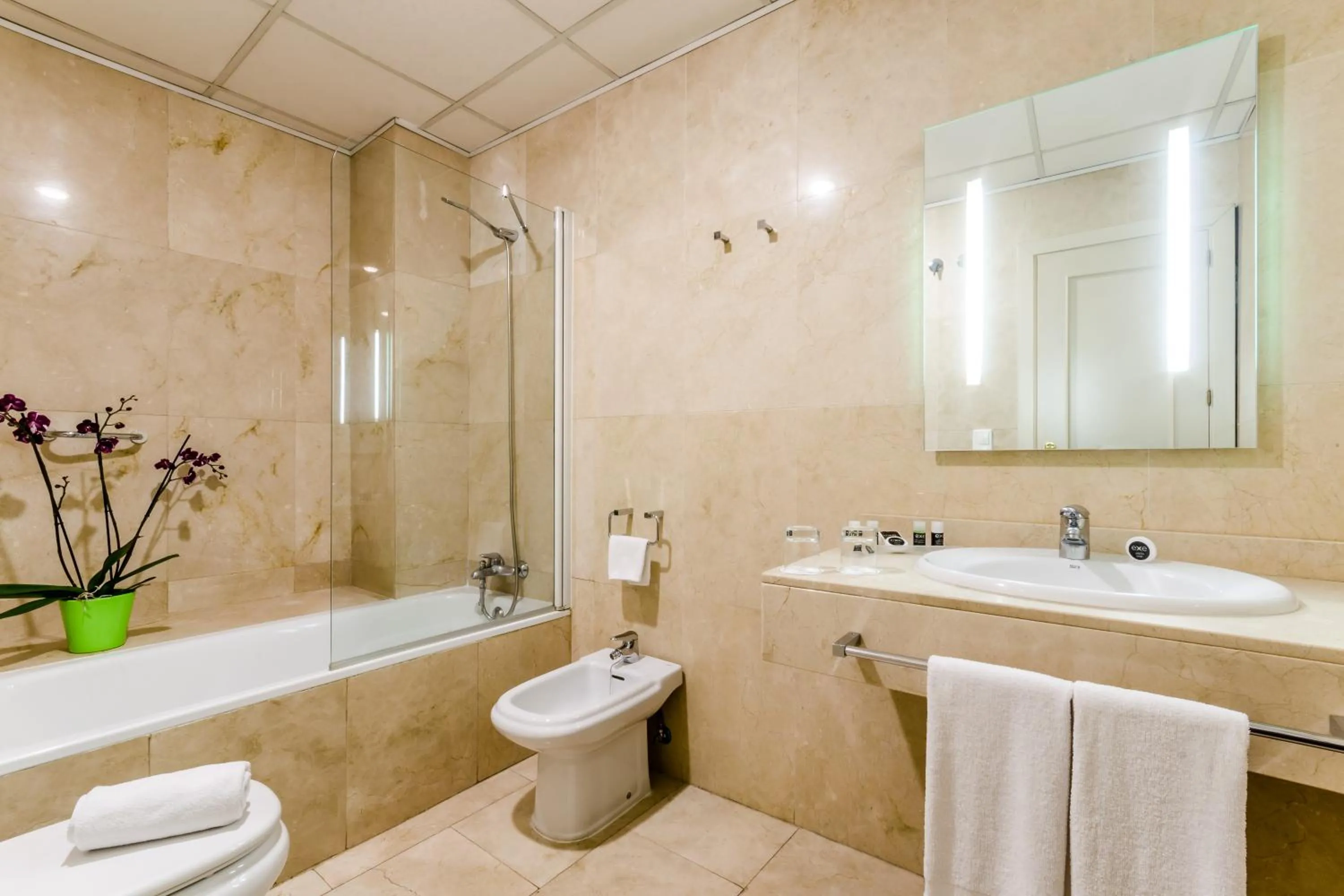 Shower in Exe Suites 33