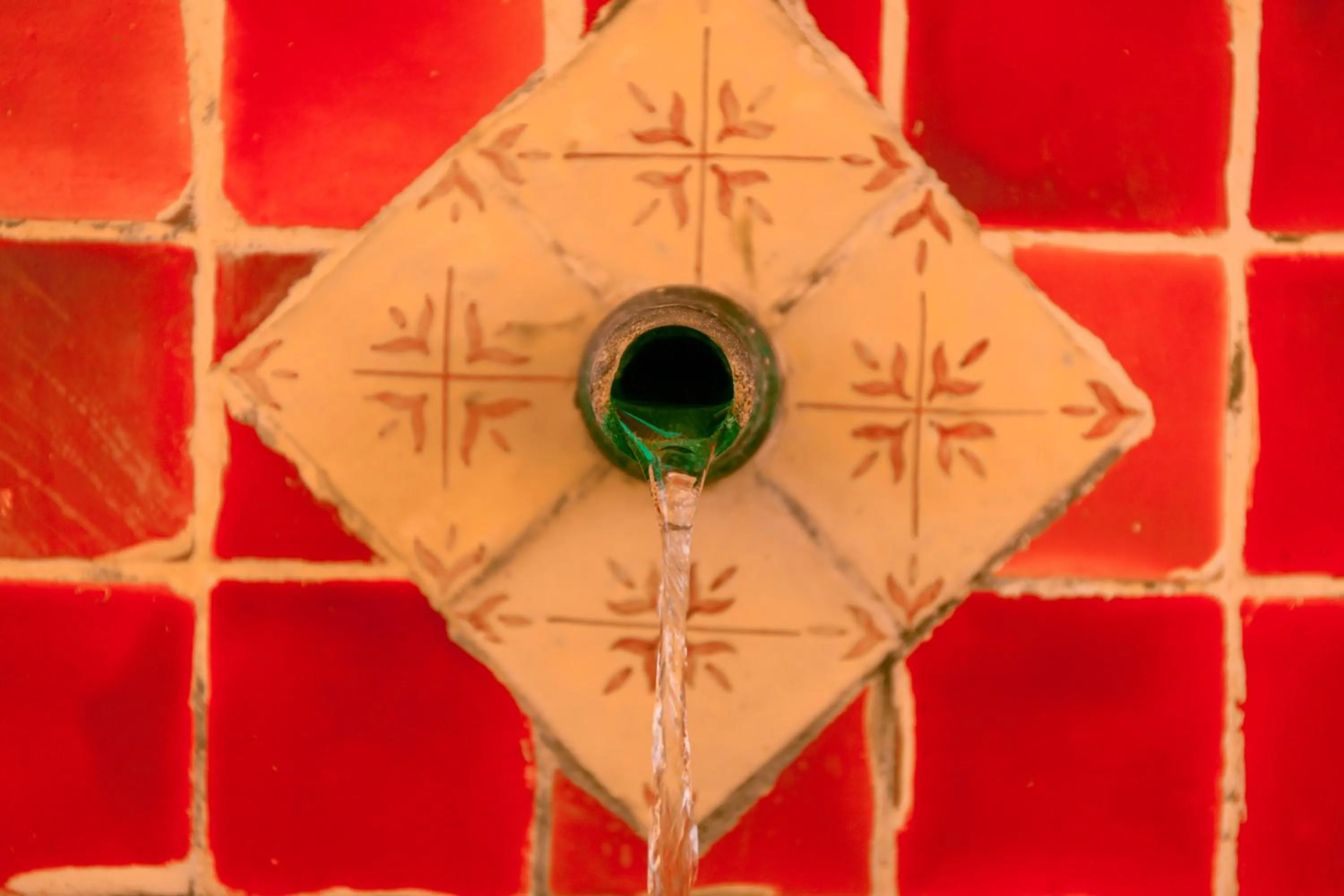 Can Arabí - Adults Only